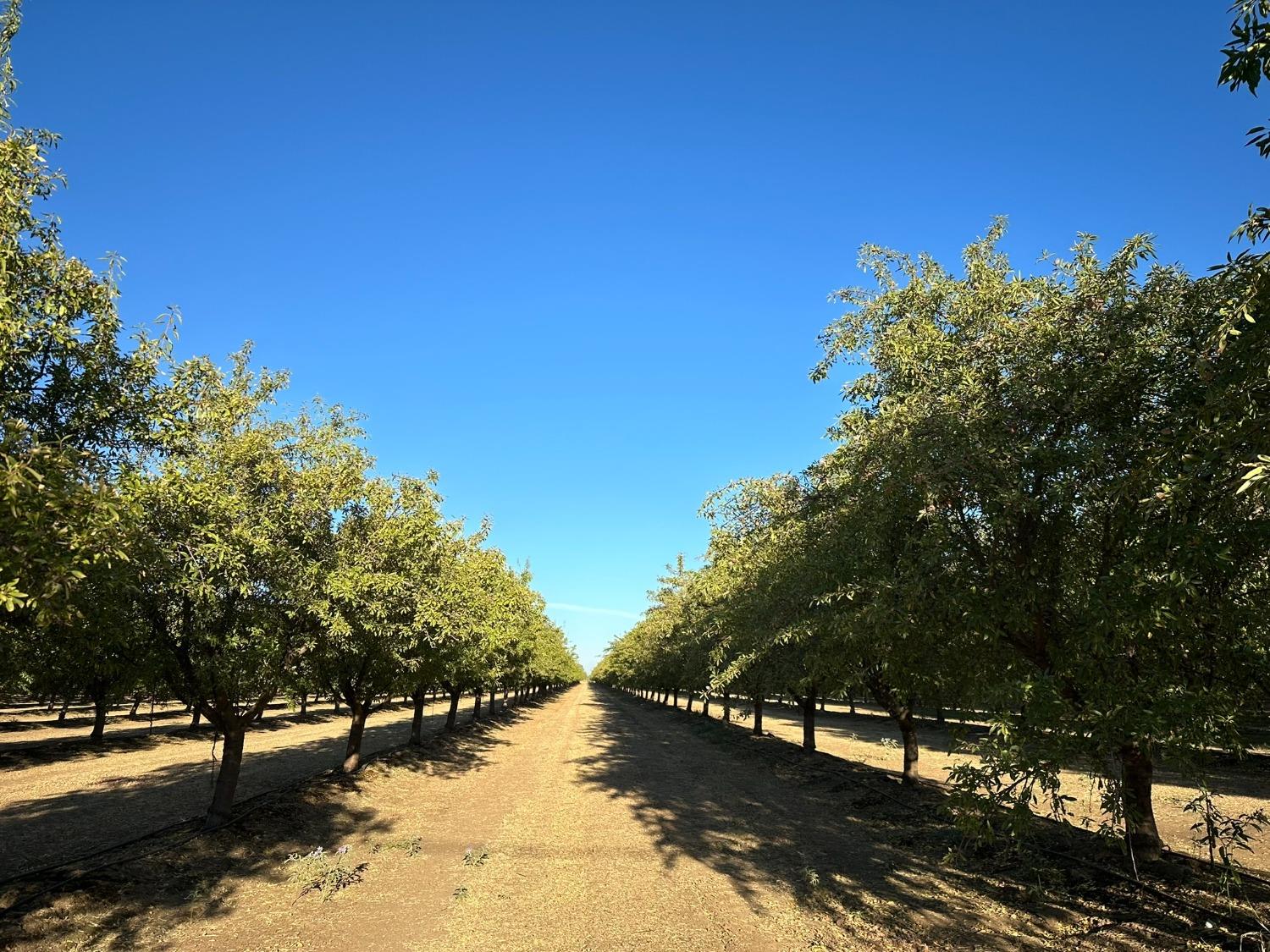 Ispen Road, Le Grand, California image 1