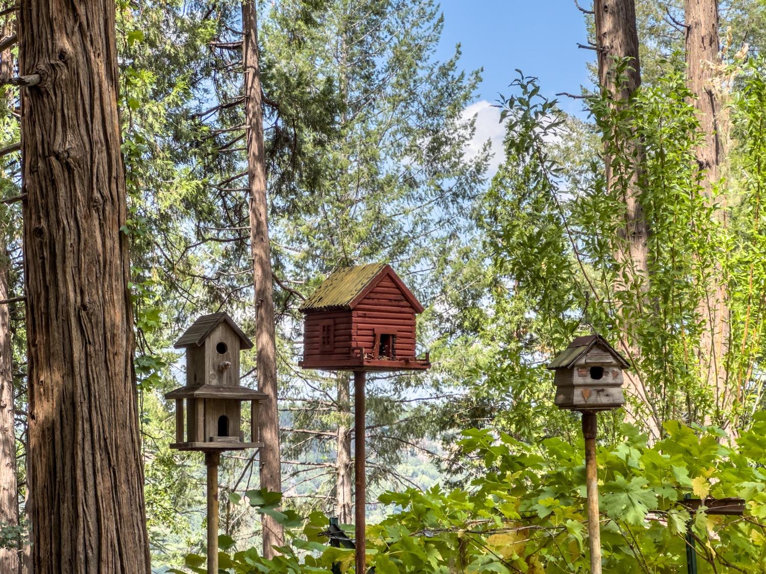 Detail Gallery Image 34 of 49 For 24985 Shake Ridge Rd, Volcano,  CA 95689 - 3 Beds | 3 Baths