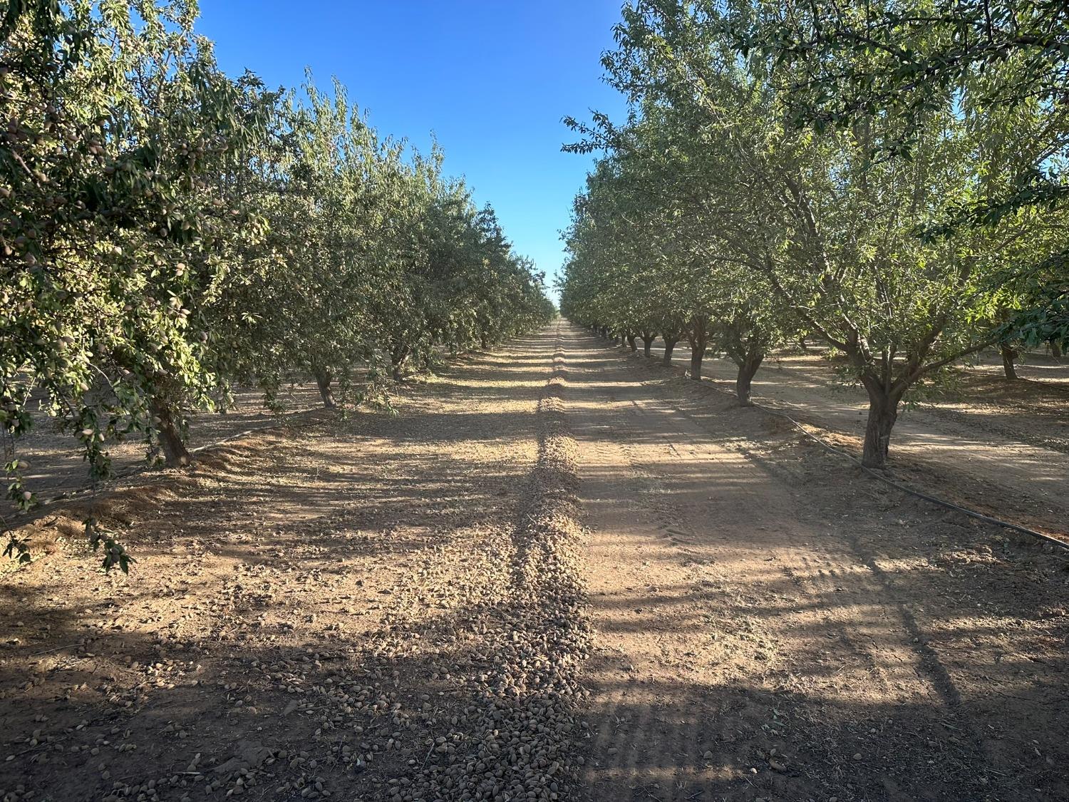 Ispen Road, Le Grand, California image 26