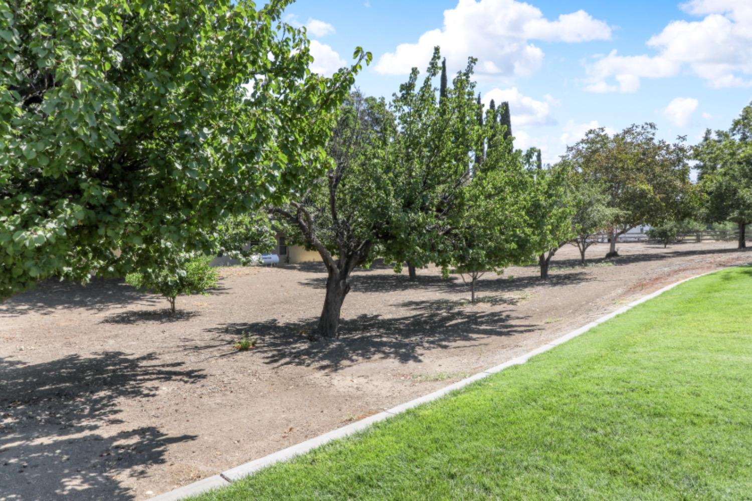 Detail Gallery Image 53 of 71 For 34776 Brichetto Ct, Tracy,  CA 95377 - 4 Beds | 2 Baths