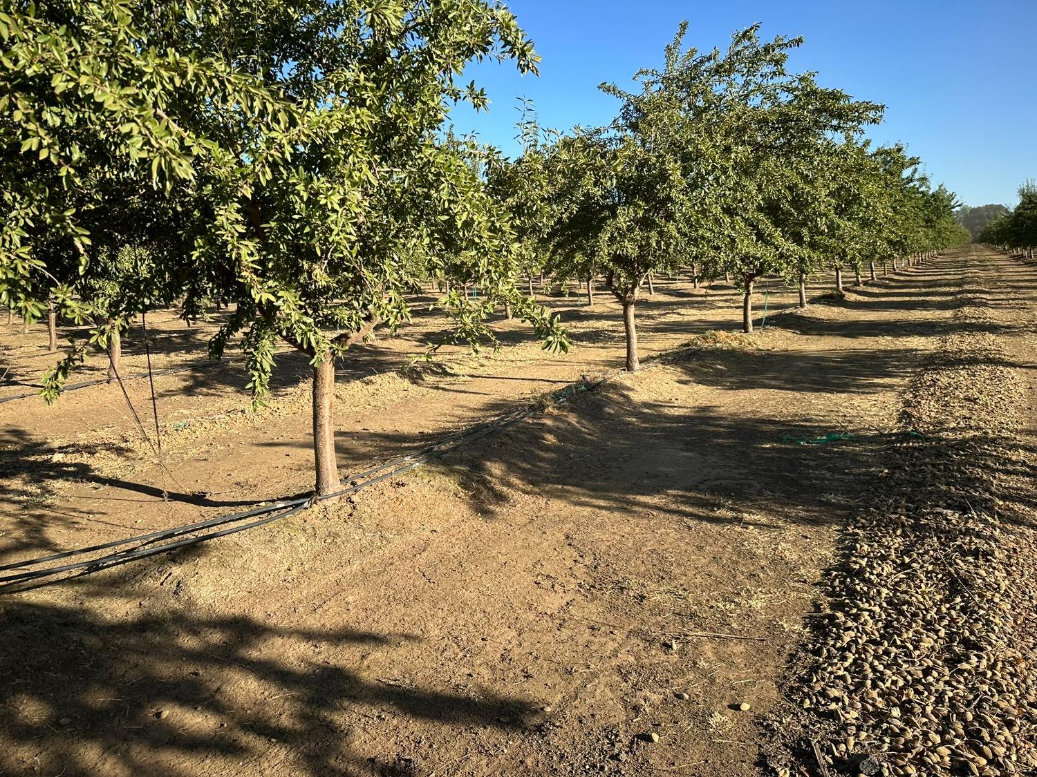 Ispen Road, Le Grand, California image 7