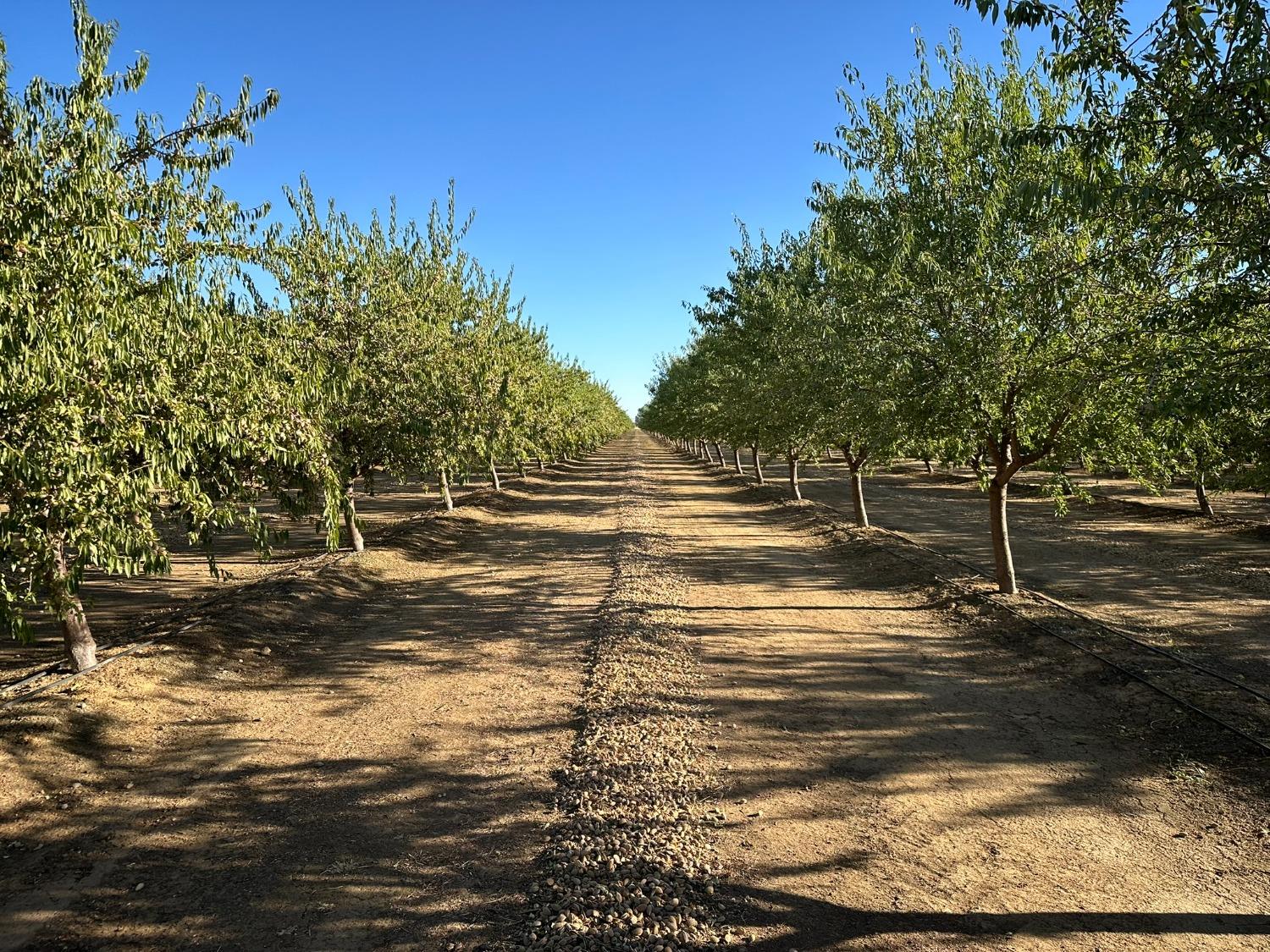 Ispen Road, Le Grand, California image 12