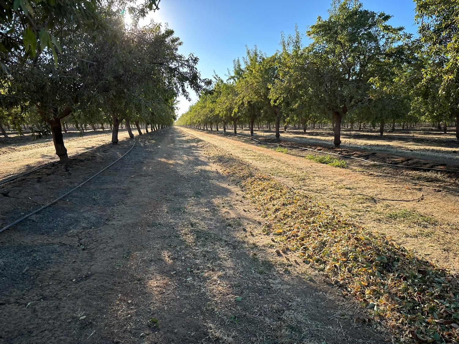 Ispen Road, Le Grand, California image 5