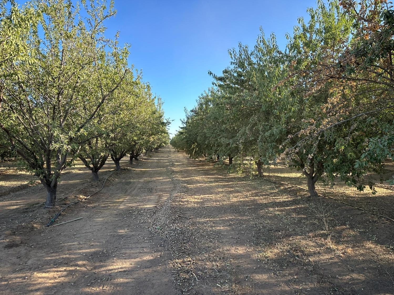 Ispen Road, Le Grand, California image 6