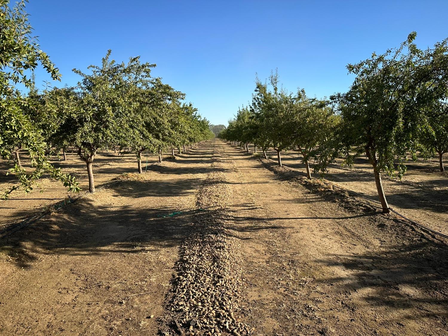 Ispen Road, Le Grand, California image 16