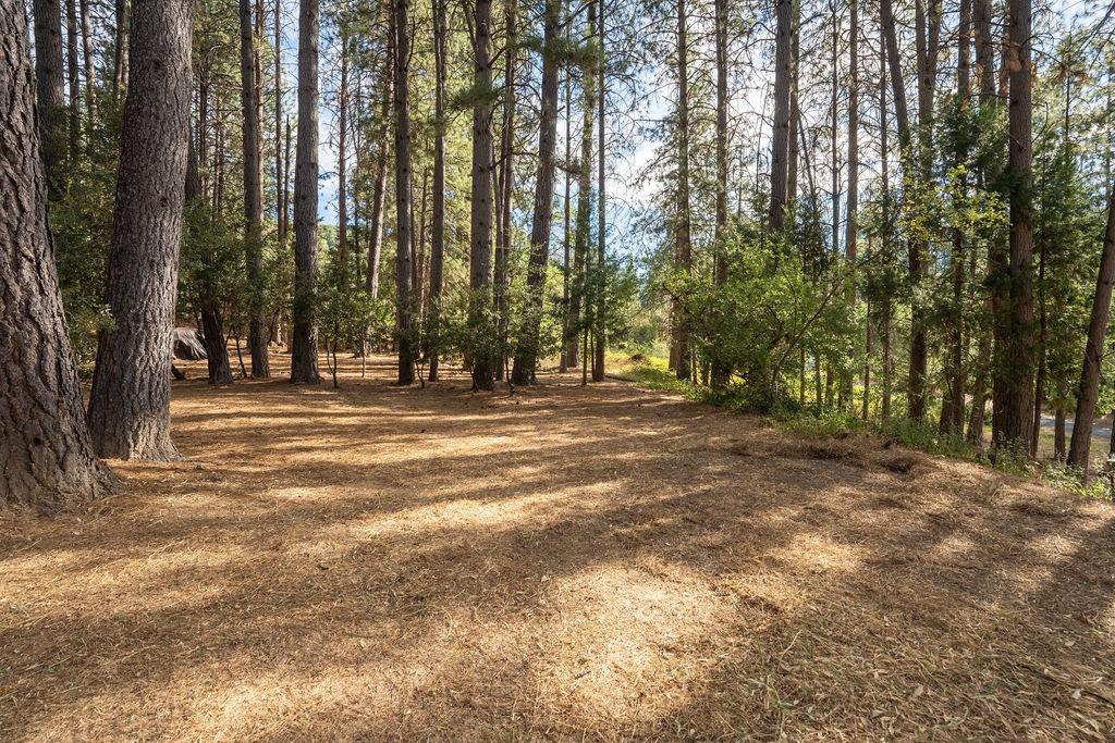 Detail Gallery Image 56 of 76 For 848 Nevada St, Nevada City,  CA 95959 - 3 Beds | 2/1 Baths