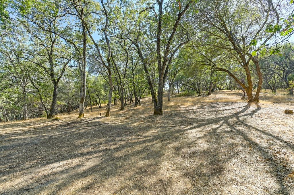 Detail Gallery Image 60 of 76 For 2220 Rycarba Ln, Cool,  CA 95614 - 3 Beds | 2/1 Baths