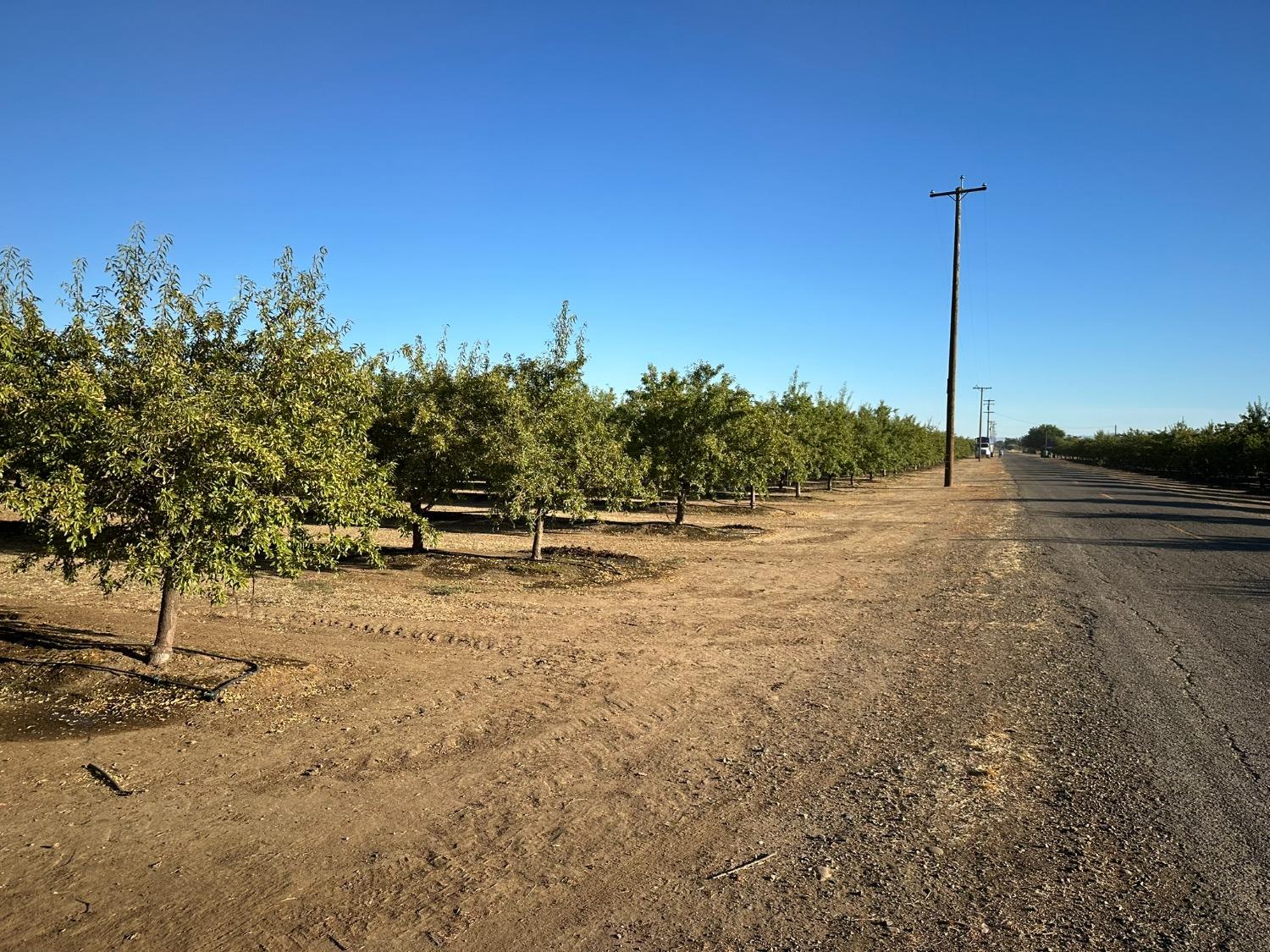 Ispen Road, Le Grand, California image 8