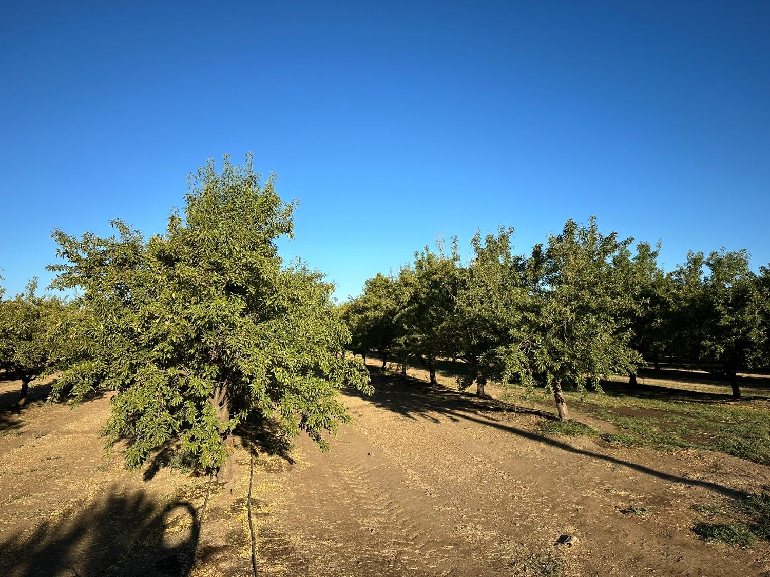 Ispen Road, Le Grand, California image 14