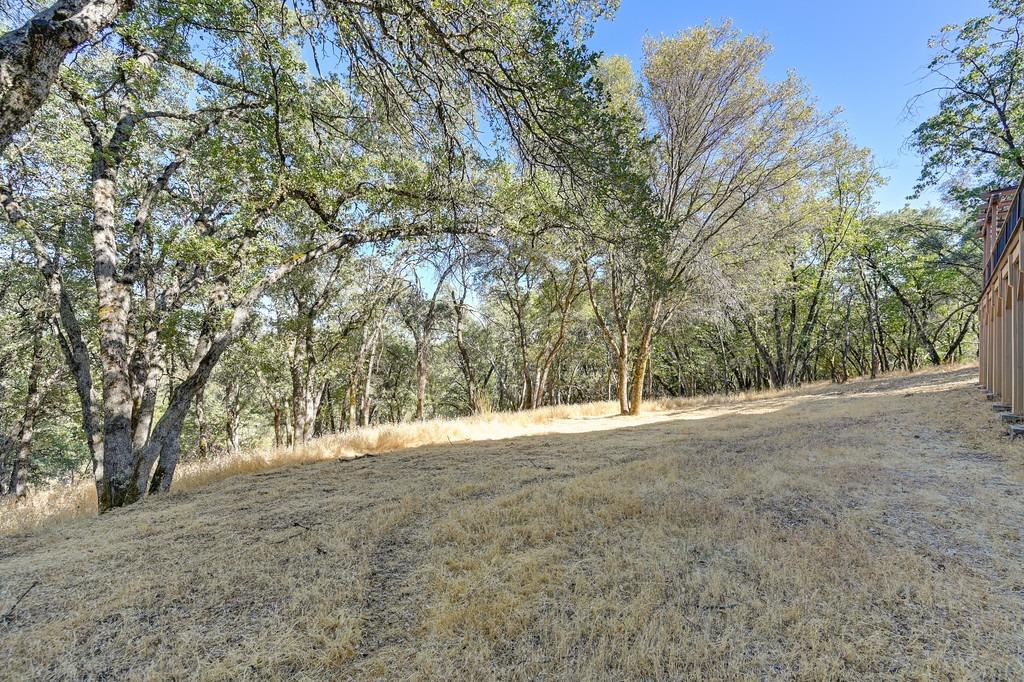 Detail Gallery Image 61 of 76 For 2220 Rycarba Ln, Cool,  CA 95614 - 3 Beds | 2/1 Baths