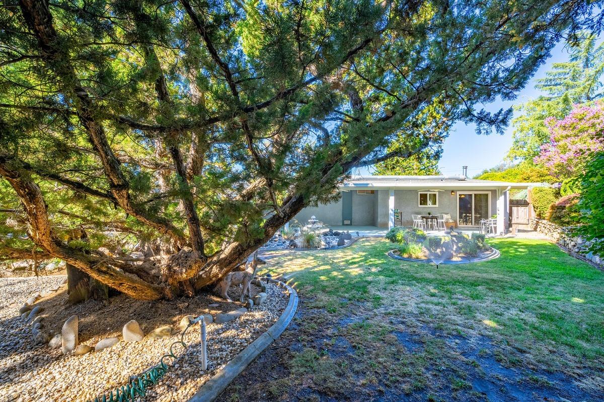 Kellie Lane, Auburn, California image 35