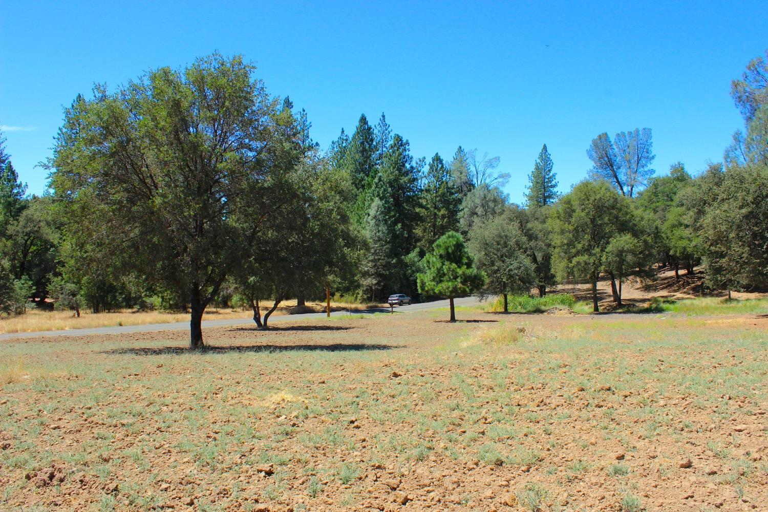 Shilo Drive, Placerville, California image 1