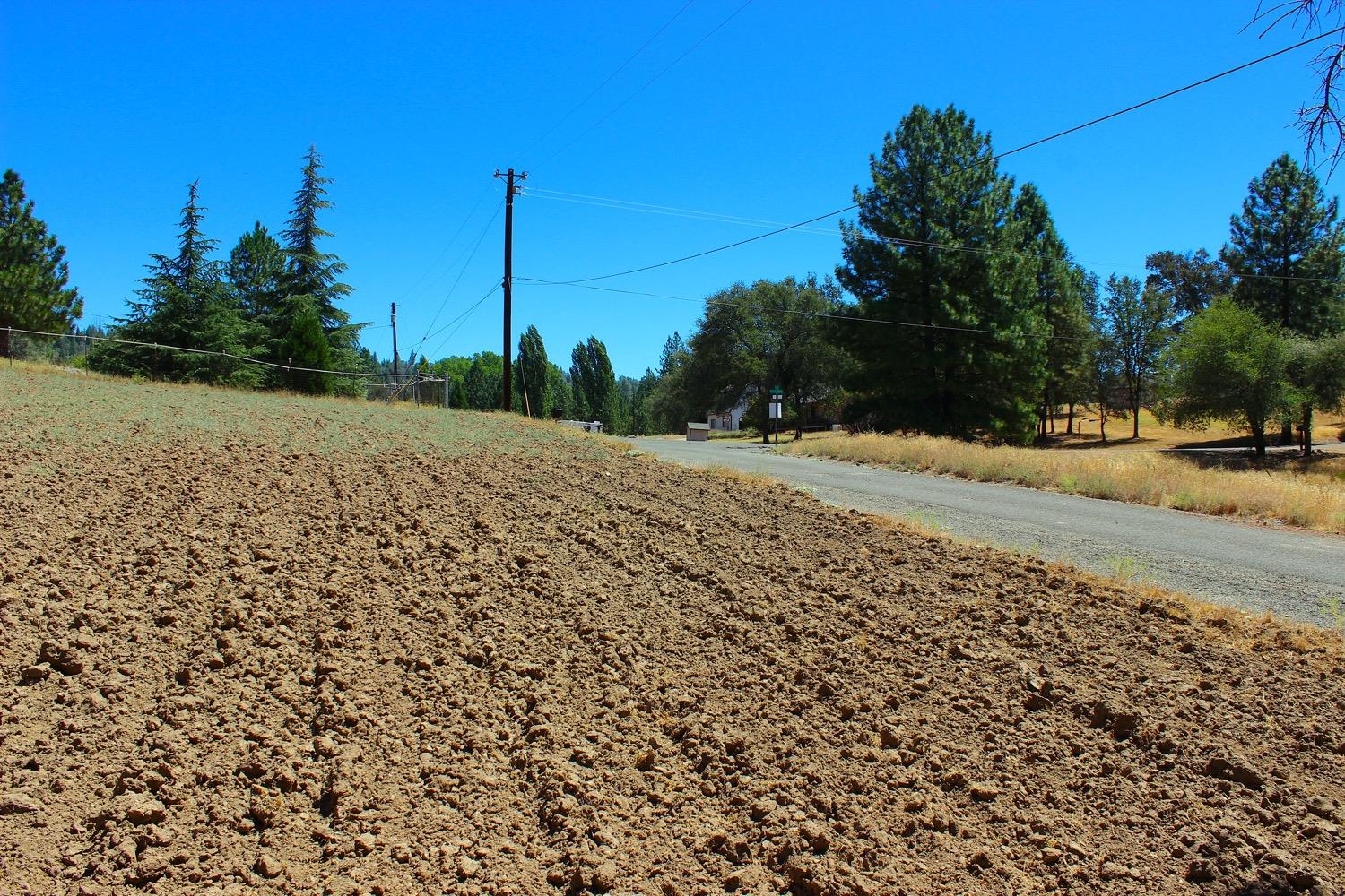 Shilo Drive, Placerville, California image 3