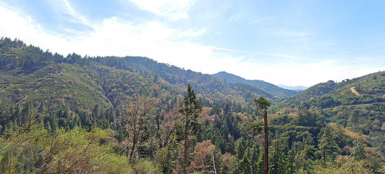 Sawpit Creek Road, Cedarpines Park, California image 1