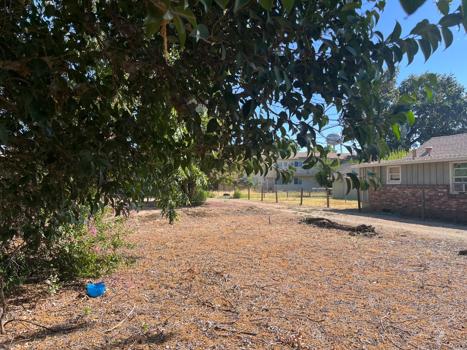 720 Louise Avenue, Yuba City, California image 4