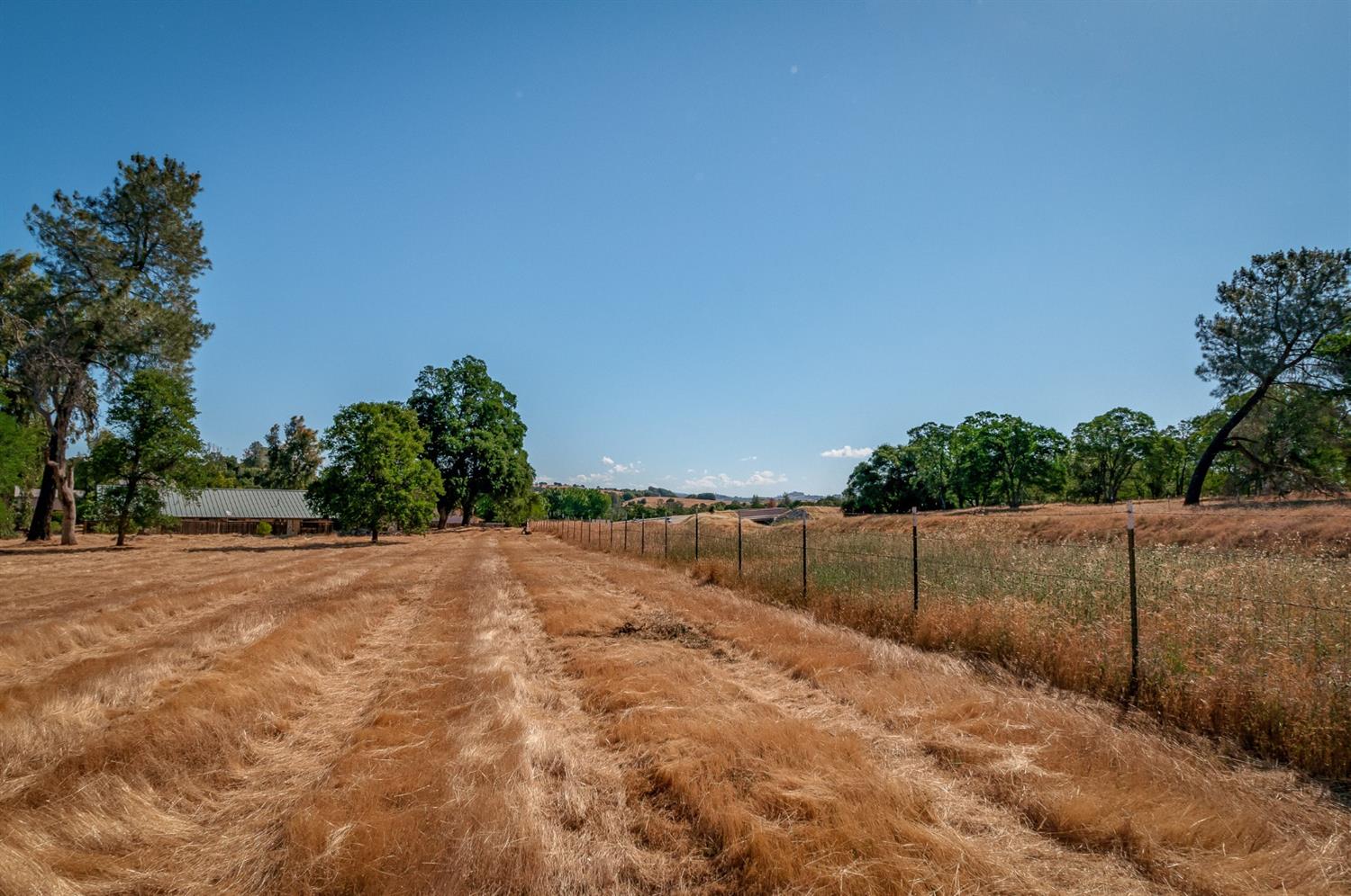 Detail Gallery Image 13 of 23 For 0 Dogtown Rd, Angels Camp,  CA 95222 - – Beds | – Baths