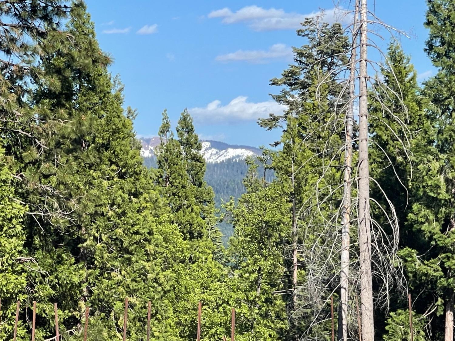 Detail Gallery Image 3 of 5 For 30372 Yellow Pine Ln, Nevada City,  CA 95959 - – Beds | – Baths