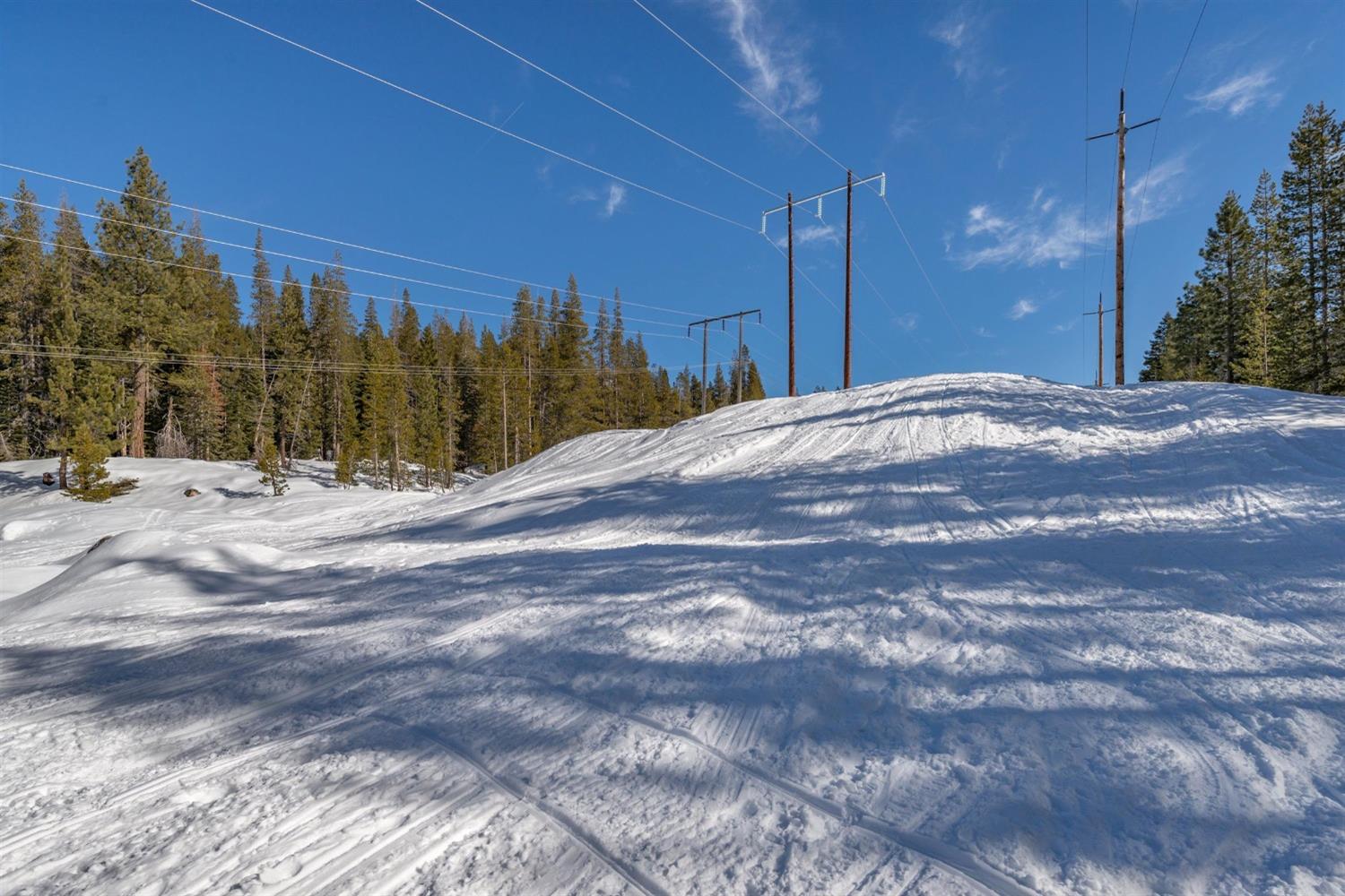 Conifer Drive, Soda Springs, California image 8