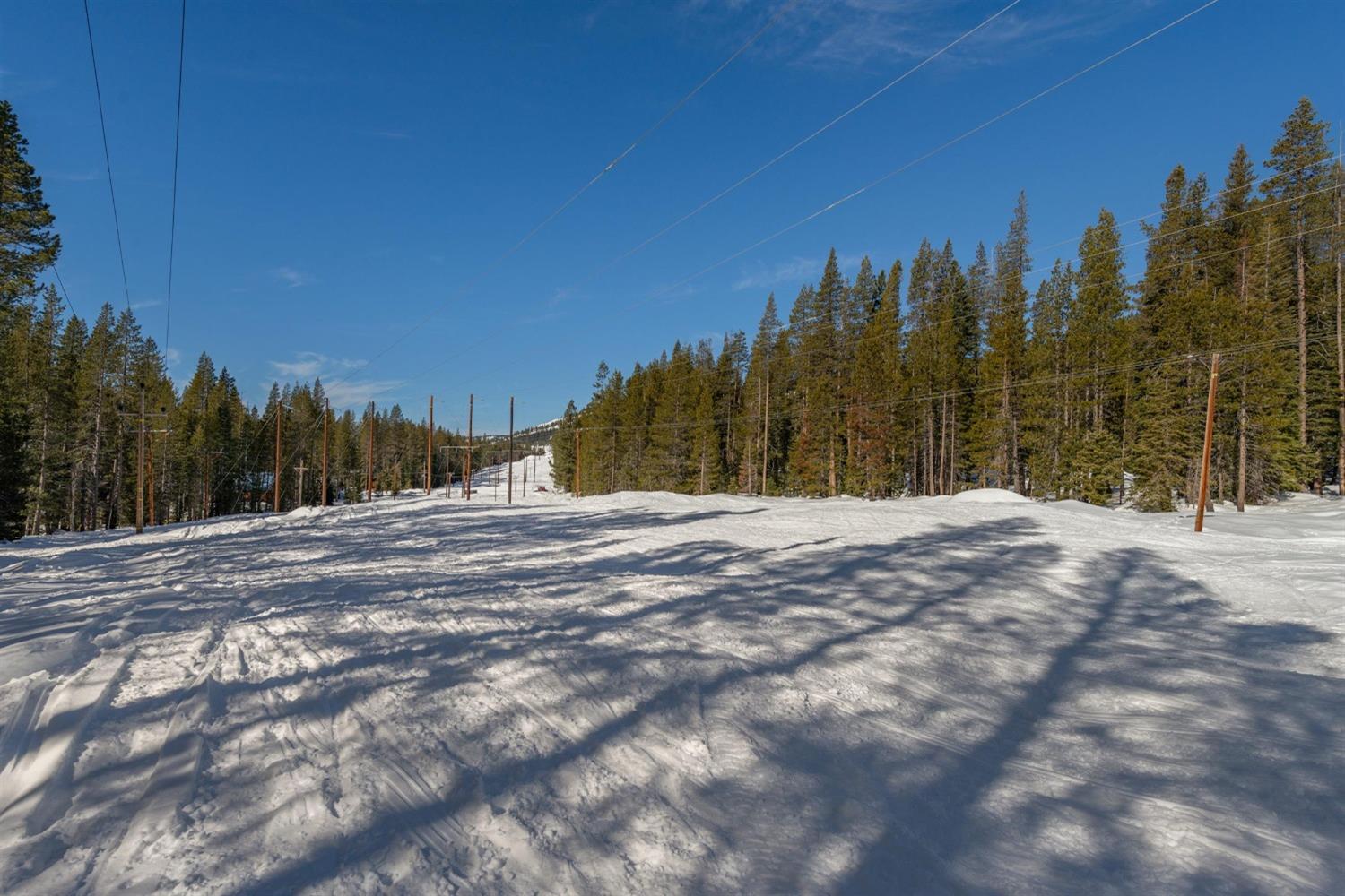 Conifer Drive, Soda Springs, California image 7