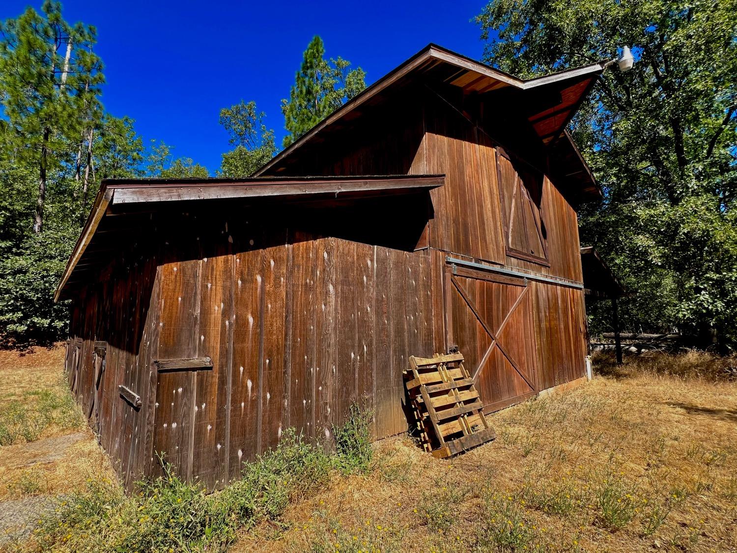 Stout Lane, Coulterville, California image 35