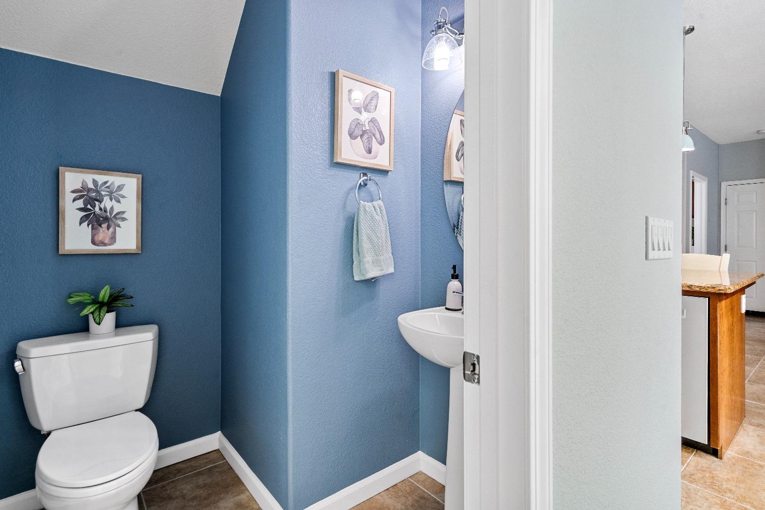 Detail Gallery Image 13 of 59 For 182 W Invitar Ln, Mountain House,  CA 95391 - 4 Beds | 2/1 Baths