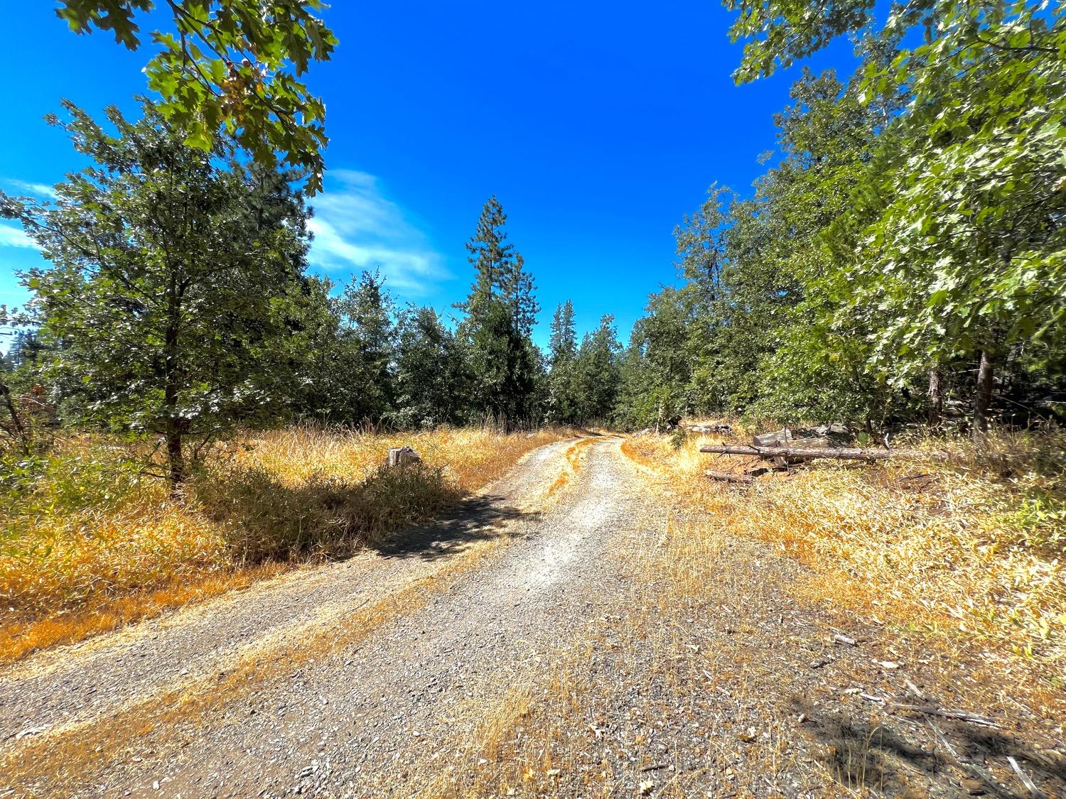 Stout Lane, Coulterville, California image 39