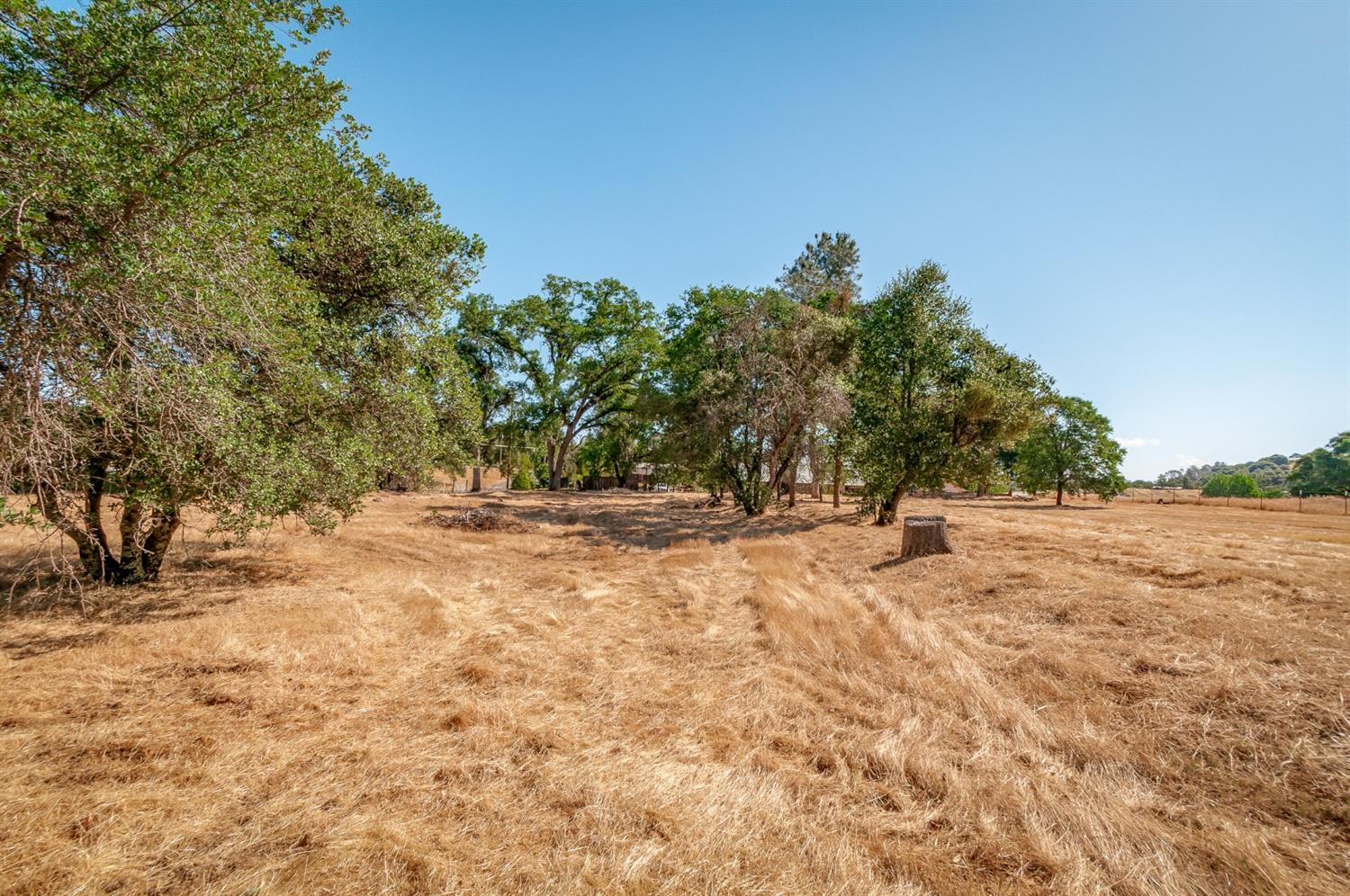 Detail Gallery Image 14 of 23 For 0 Dogtown Rd, Angels Camp,  CA 95222 - – Beds | – Baths