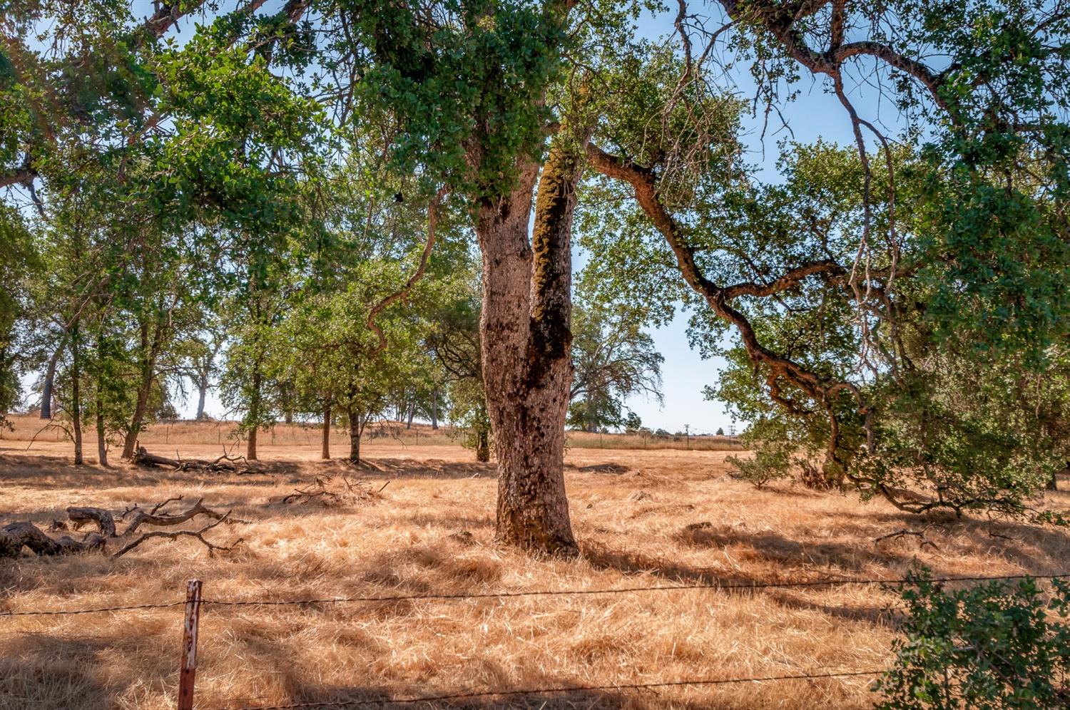 Detail Gallery Image 3 of 23 For 0 Dogtown Rd, Angels Camp,  CA 95222 - – Beds | – Baths