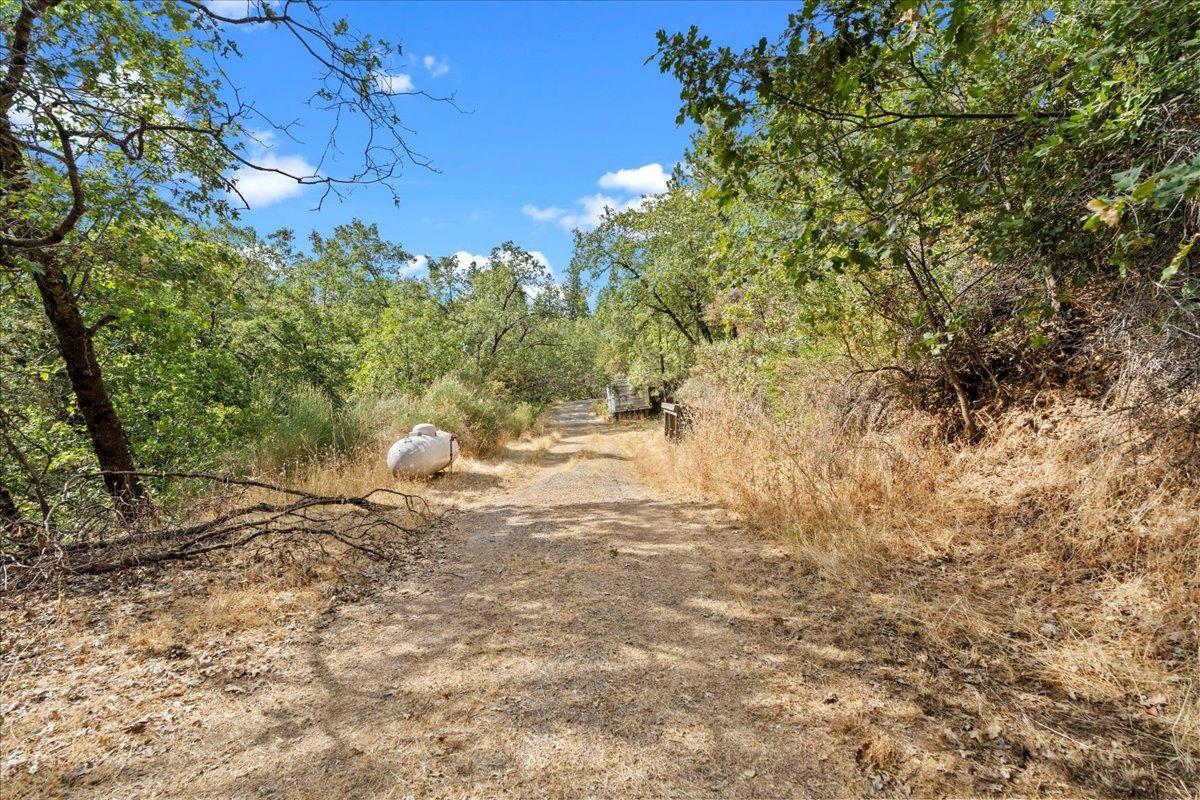 Detail Gallery Image 81 of 99 For 300 Larsen Ln, Applegate,  CA 95703 - 6 Beds | 3 Baths