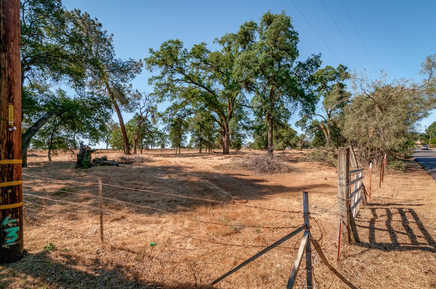 Detail Gallery Image 7 of 23 For 0 Dogtown Rd, Angels Camp,  CA 95222 - – Beds | – Baths