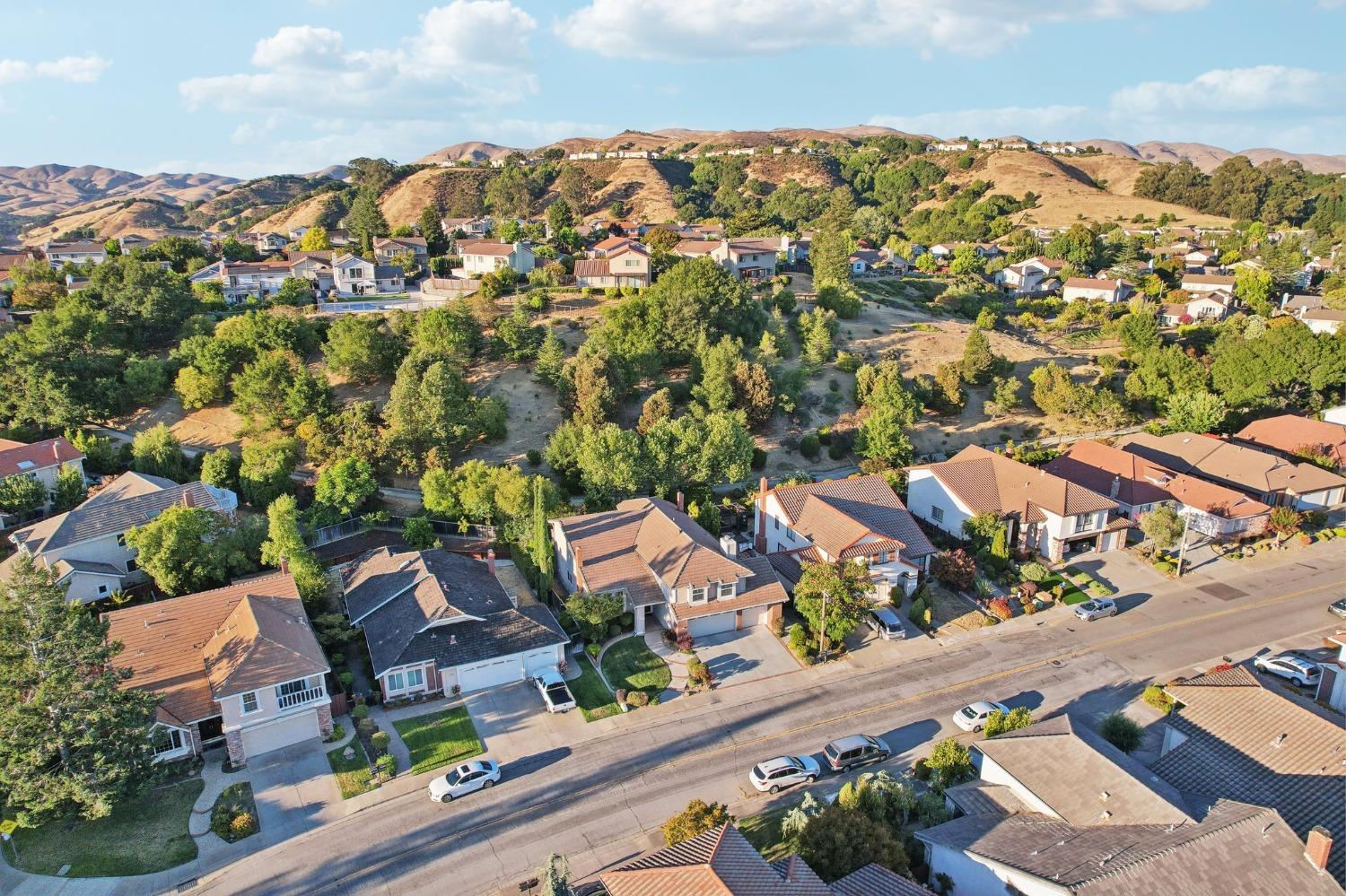 Edwin Markham Drive, Castro Valley, California image 50