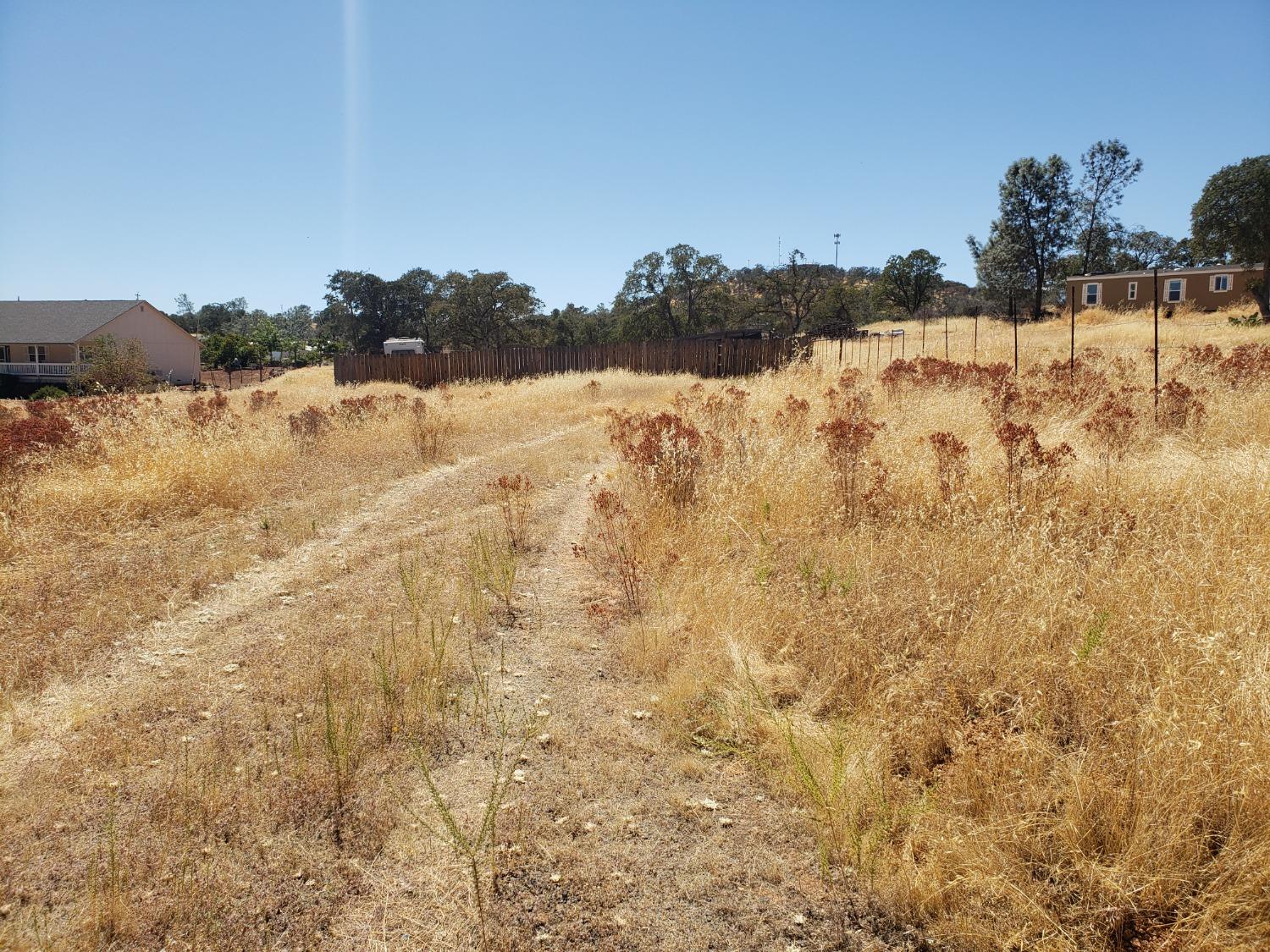 Cadena Way, Coulterville, California image 5