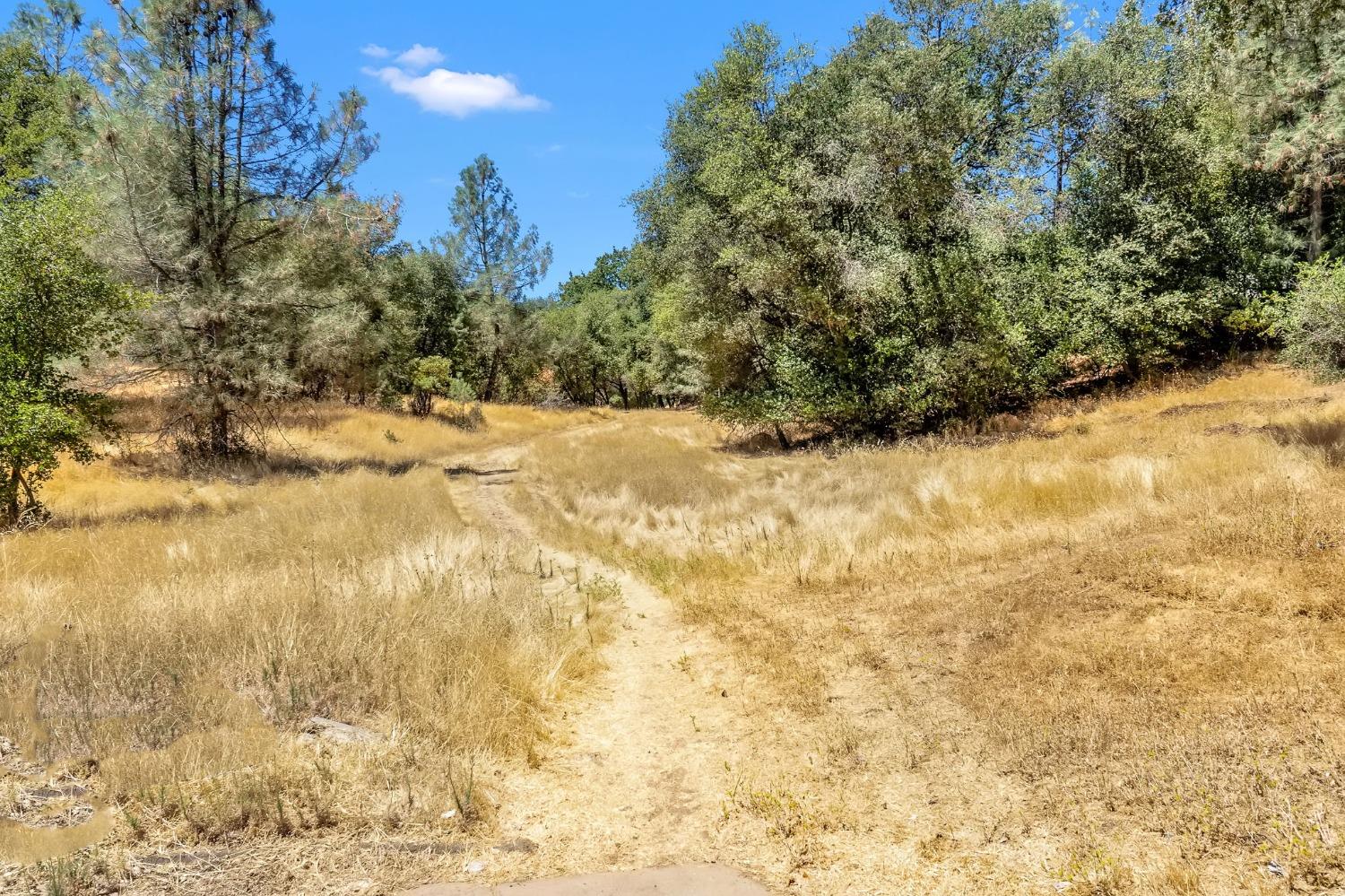 Jeffrey Lane, Placerville, California image 13