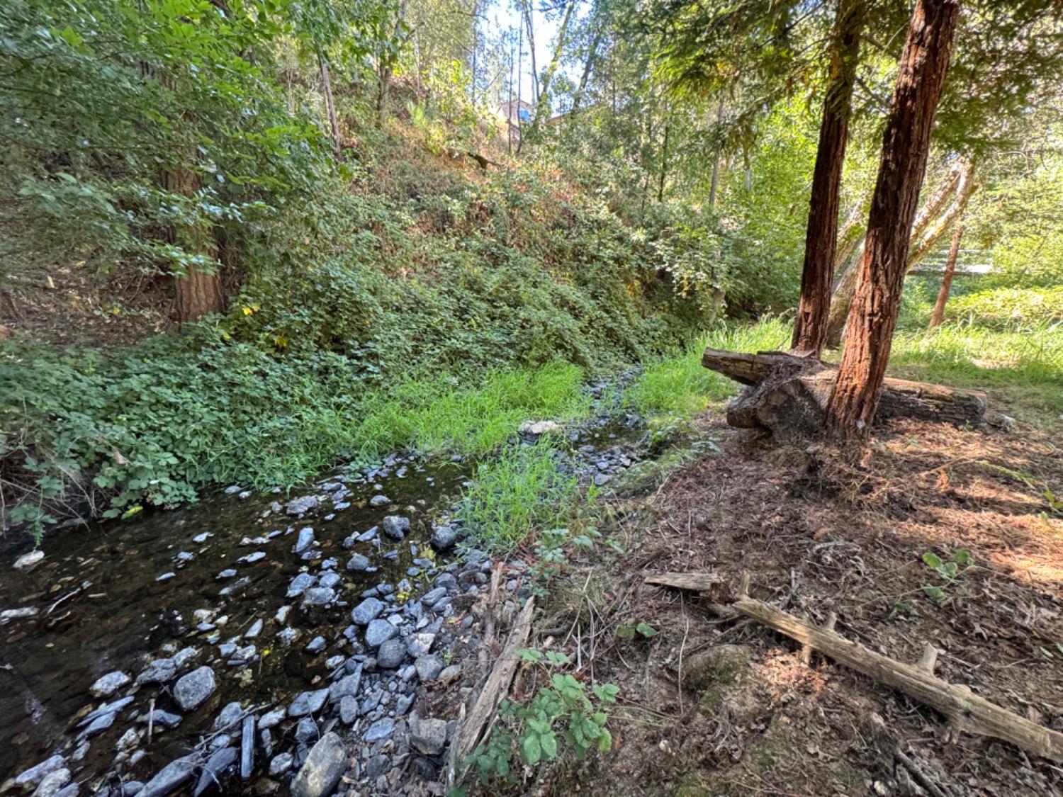 Marshall Road, Garden Valley, California image 7