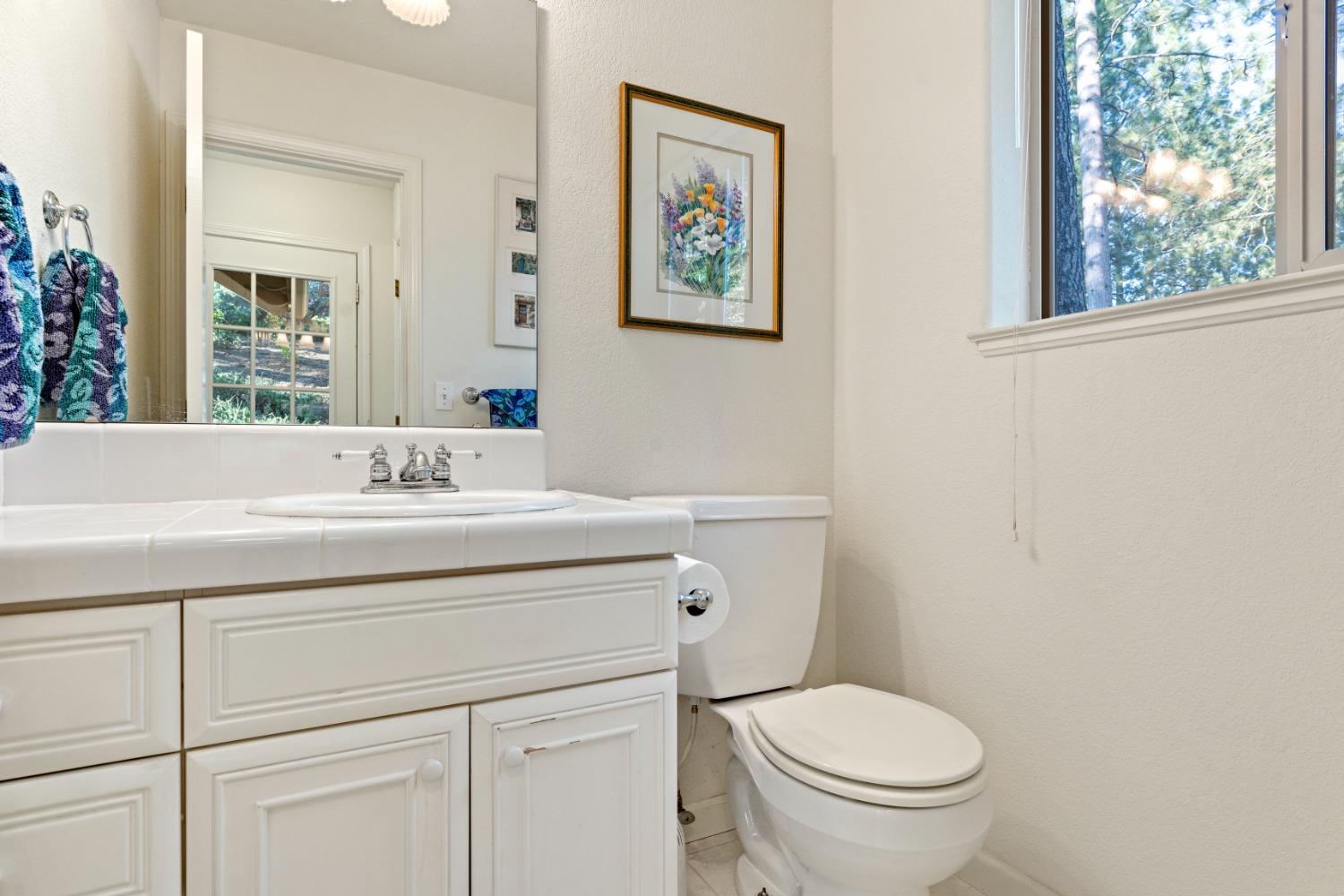 Detail Gallery Image 20 of 59 For 20612 Longridge Ct, Groveland,  CA 95321 - 3 Beds | 2/1 Baths