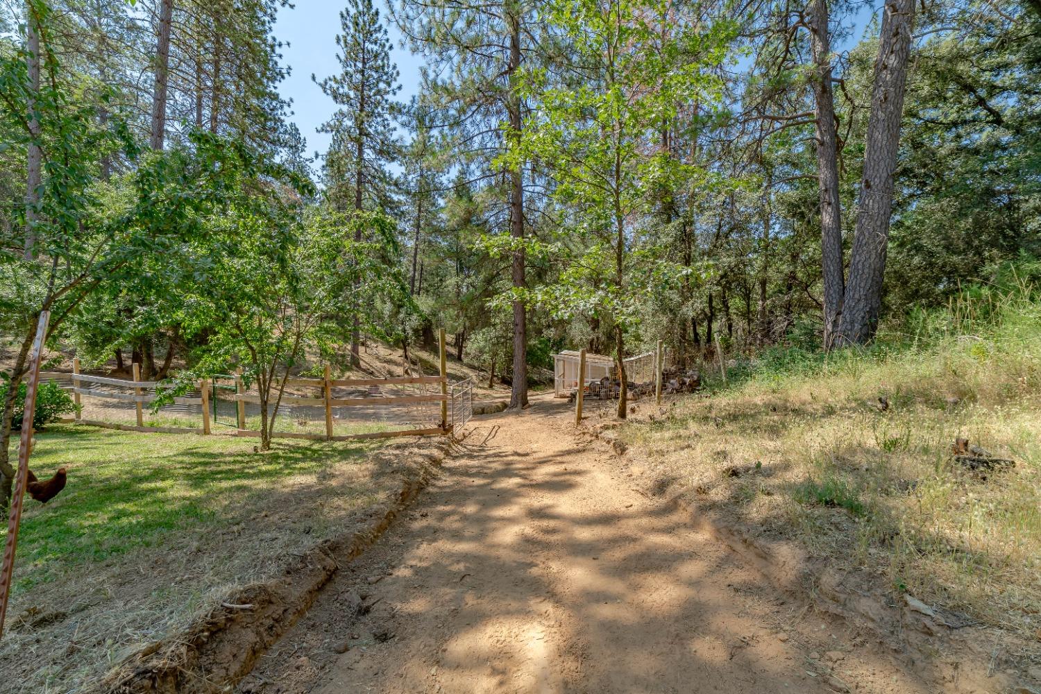 Detail Gallery Image 61 of 80 For 1680 Sliger Mine Rd, Greenwood,  CA 95635 - 6 Beds | 4 Baths