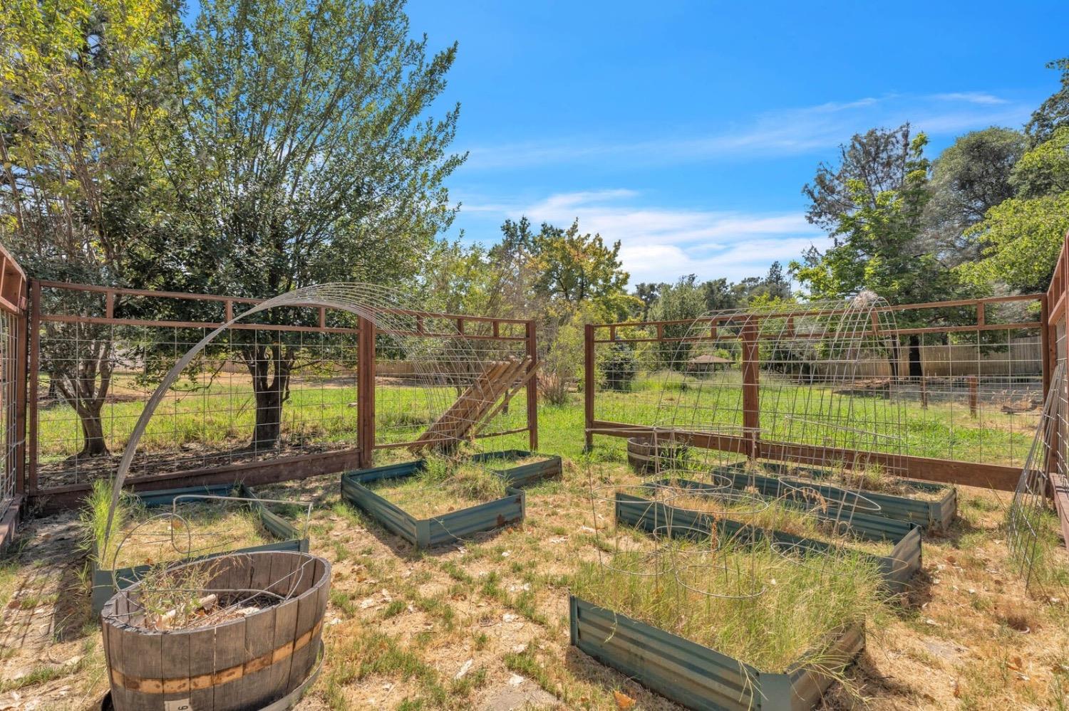 Detail Gallery Image 56 of 67 For 3020 Cannon Ct, Diamond Springs,  CA 95619 - 3 Beds | 2/1 Baths