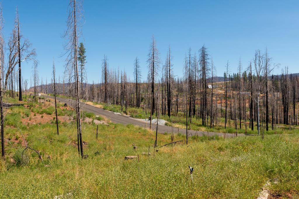 Mount Pleasant Drive, Grizzly Flats, California image 9