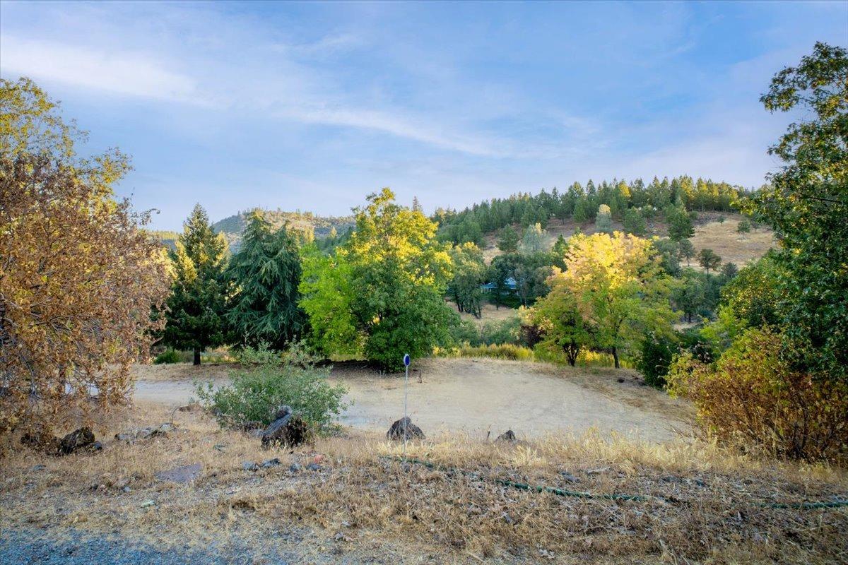 Lost Trail, Rough and Ready, California image 8