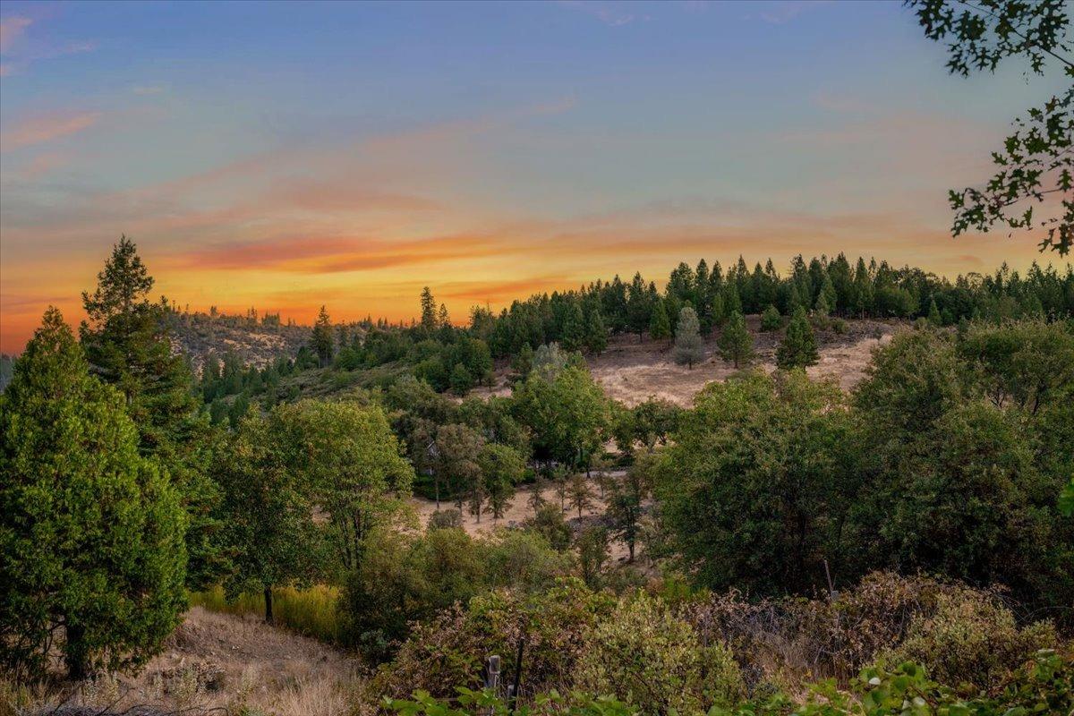 Lost Trail, Rough and Ready, California image 29