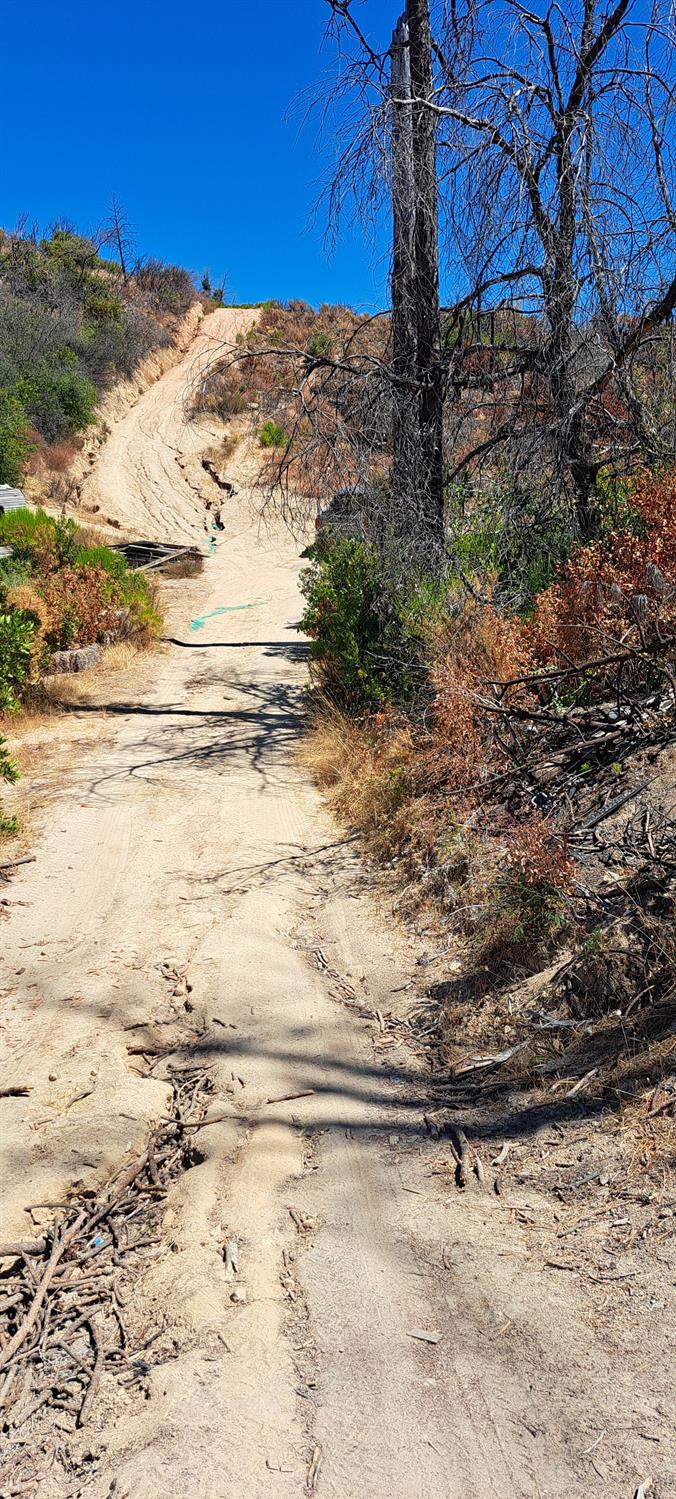 Detail Gallery Image 15 of 56 For 0 Crystal Ranch Rd., Feather Falls,  CA 95940 - – Beds | – Baths