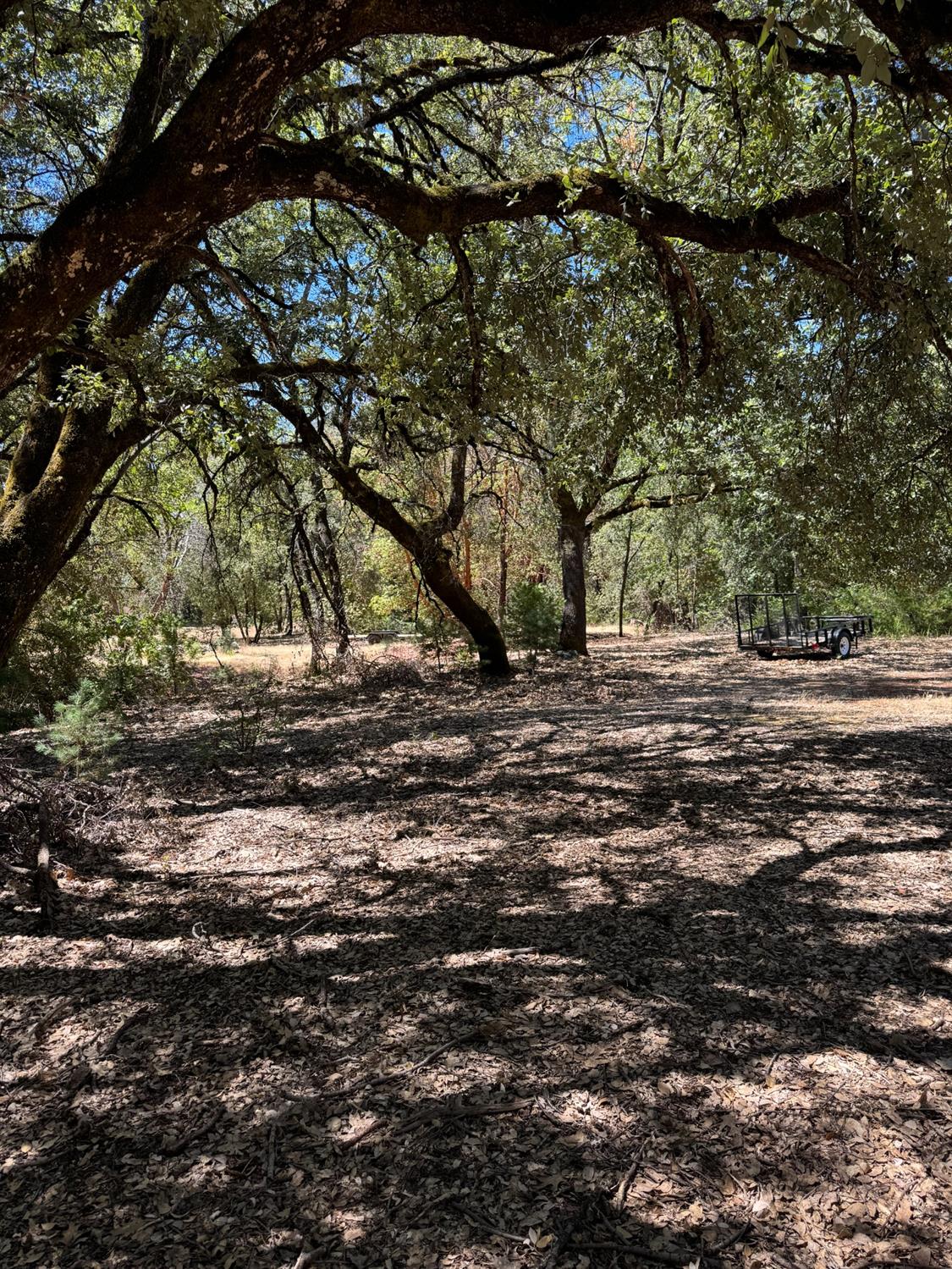 Lupe Road, Pine Grove, California image 1