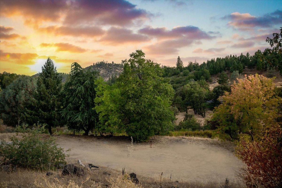 Lost Trail, Rough and Ready, California image 3