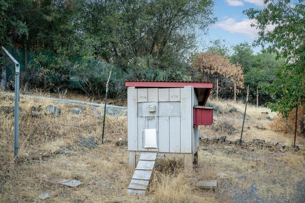 Lost Trail, Rough and Ready, California image 43