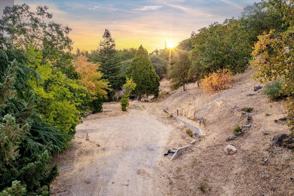 Lost Trail, Rough and Ready, California image 6