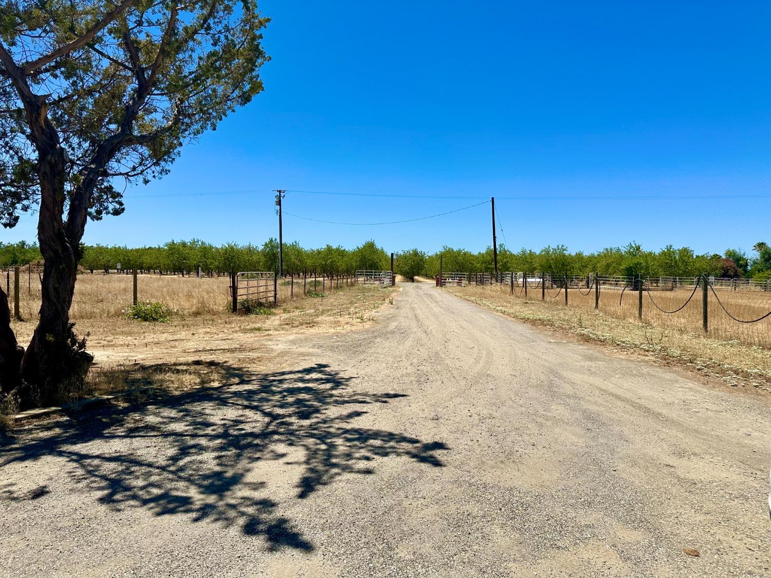 Almond Avenue, Arbuckle, California image 34