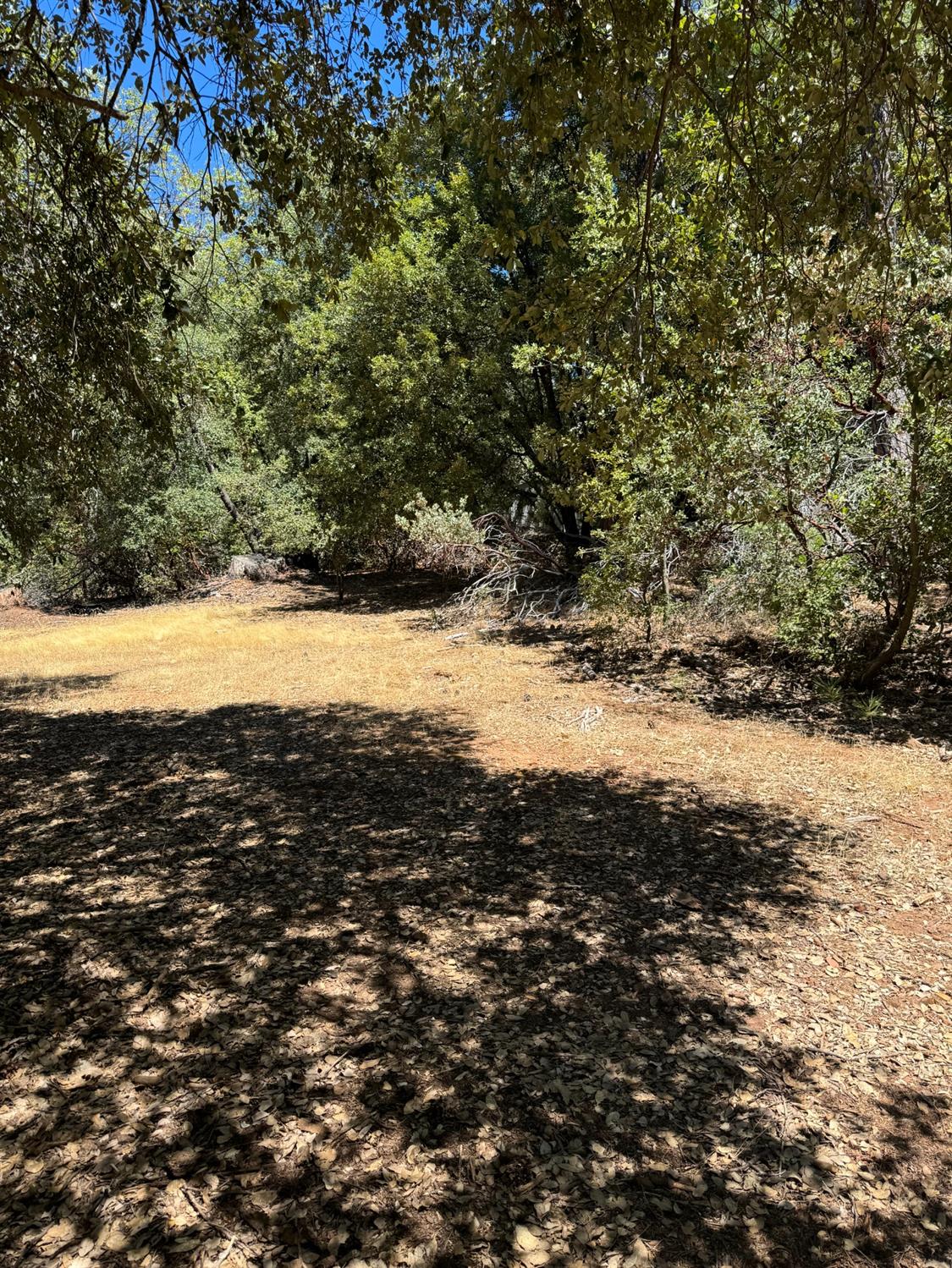 Lupe Road, Pine Grove, California image 5