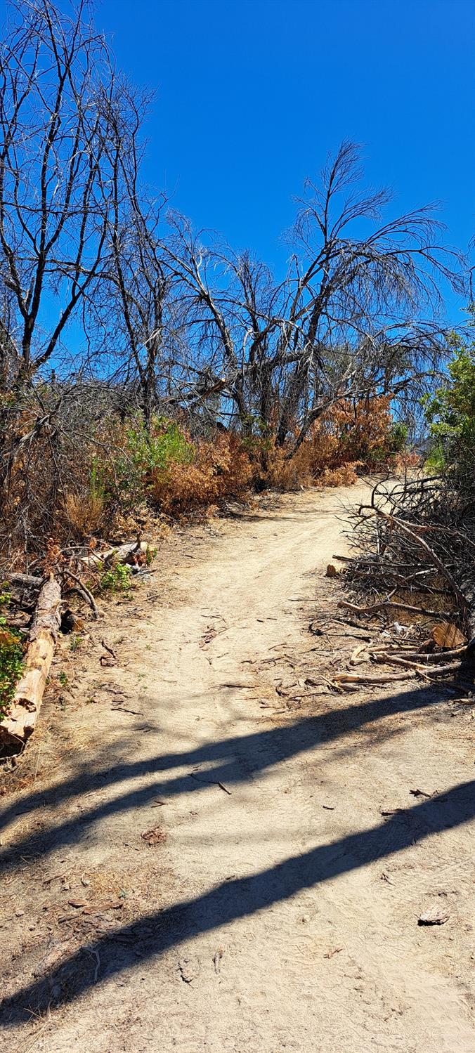 Detail Gallery Image 14 of 56 For 0 Crystal Ranch Rd., Feather Falls,  CA 95940 - – Beds | – Baths