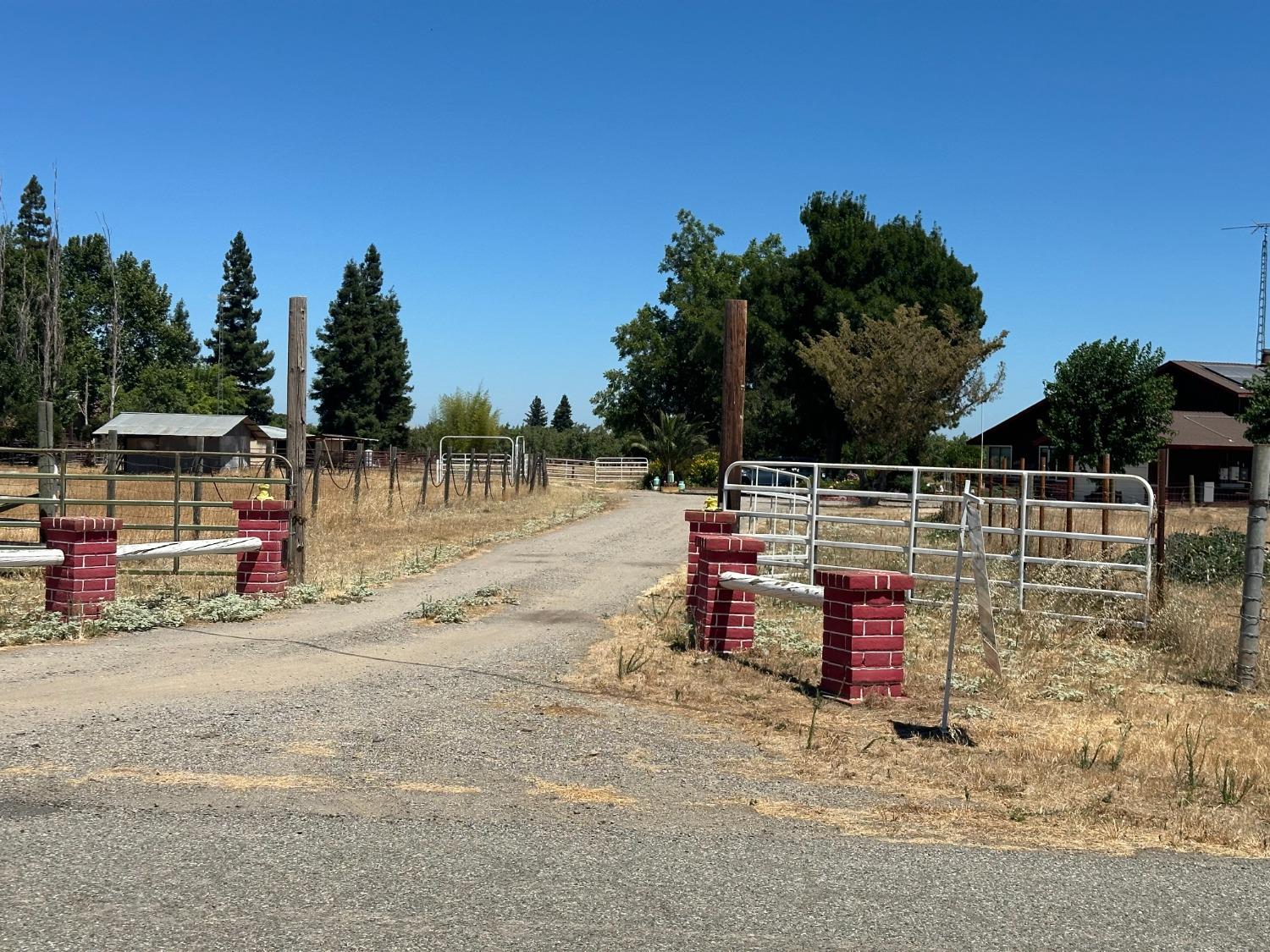 Almond Avenue, Arbuckle, California image 38