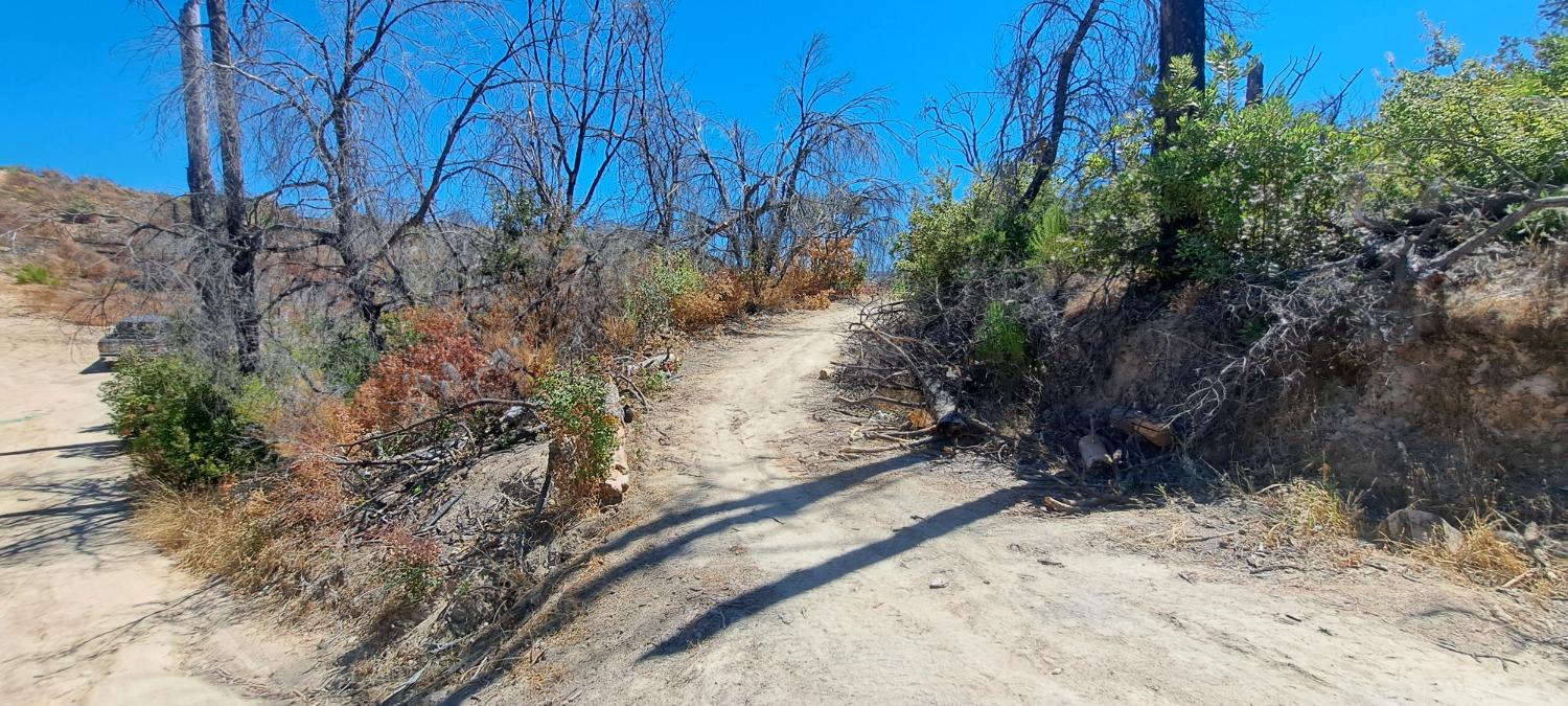 Detail Gallery Image 16 of 56 For 0 Crystal Ranch Rd., Feather Falls,  CA 95940 - – Beds | – Baths